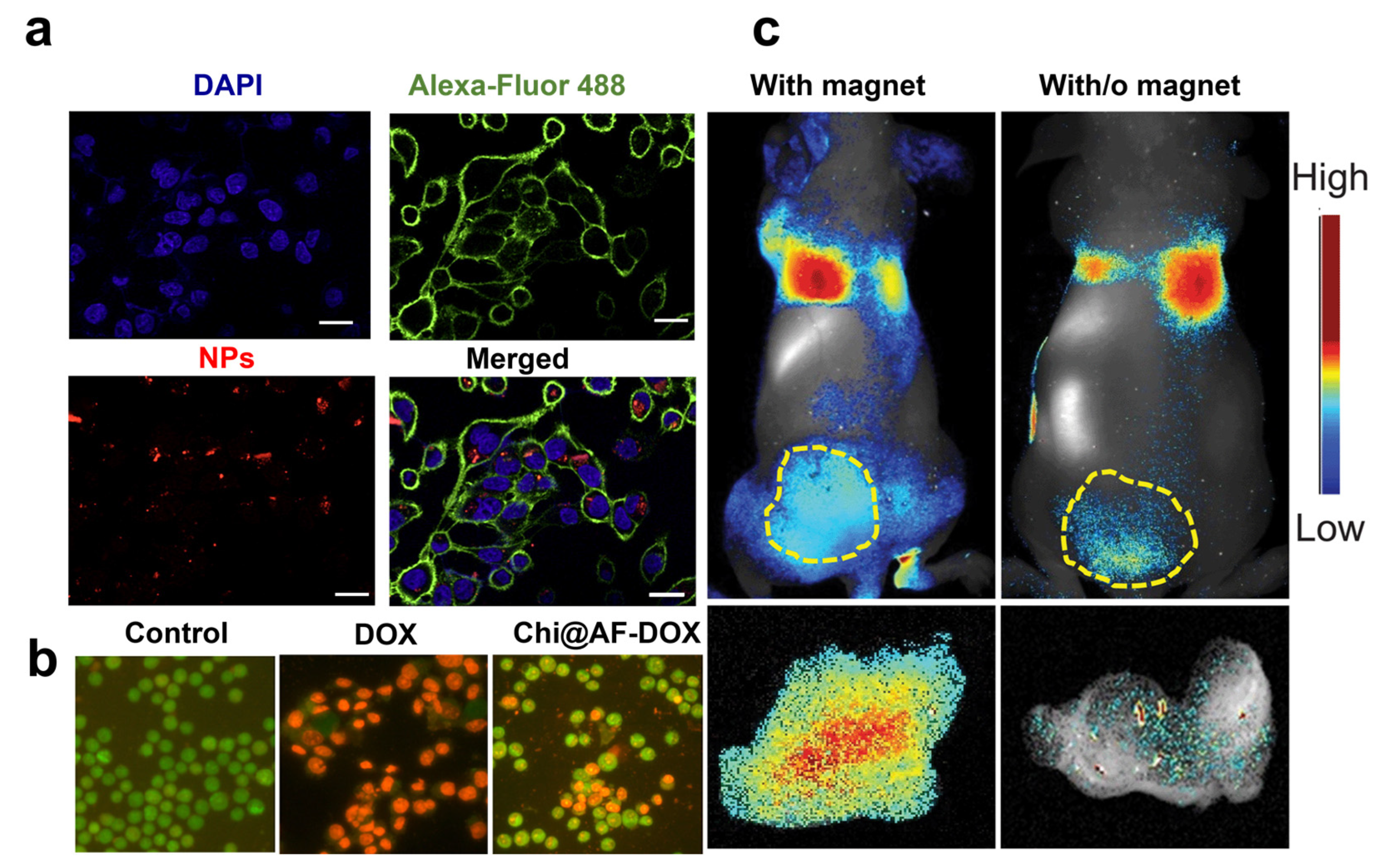 Marinedrugs 21 00266 g003