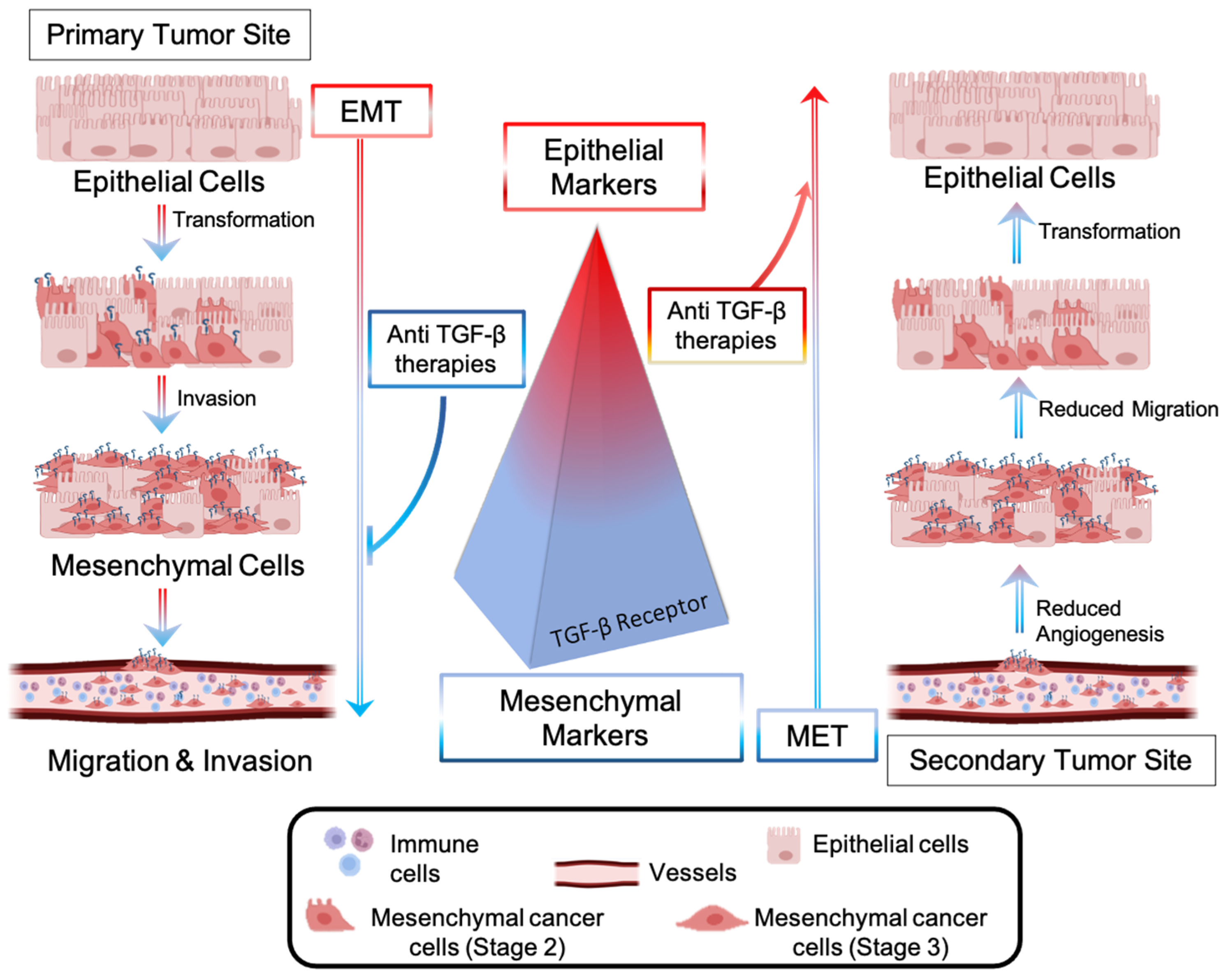 Marinedrugs 21 00266 g004