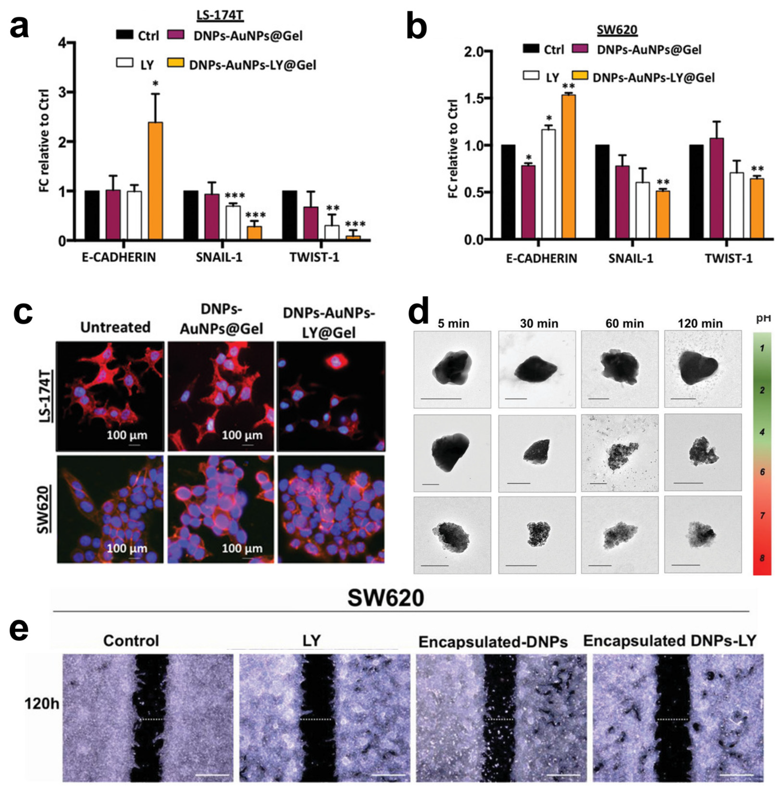 Marinedrugs 21 00266 g005