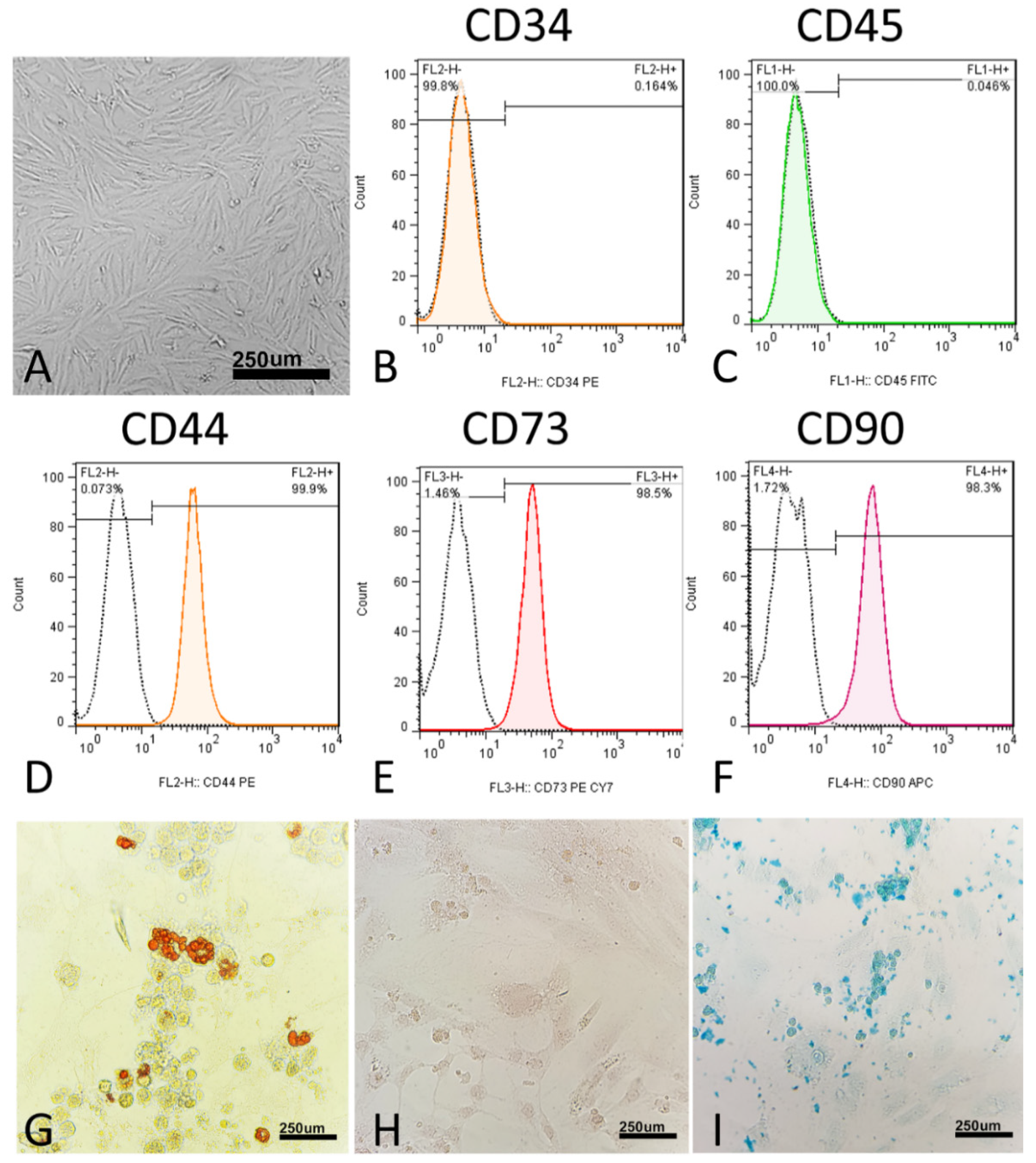 Marinedrugs 21 00267 g002