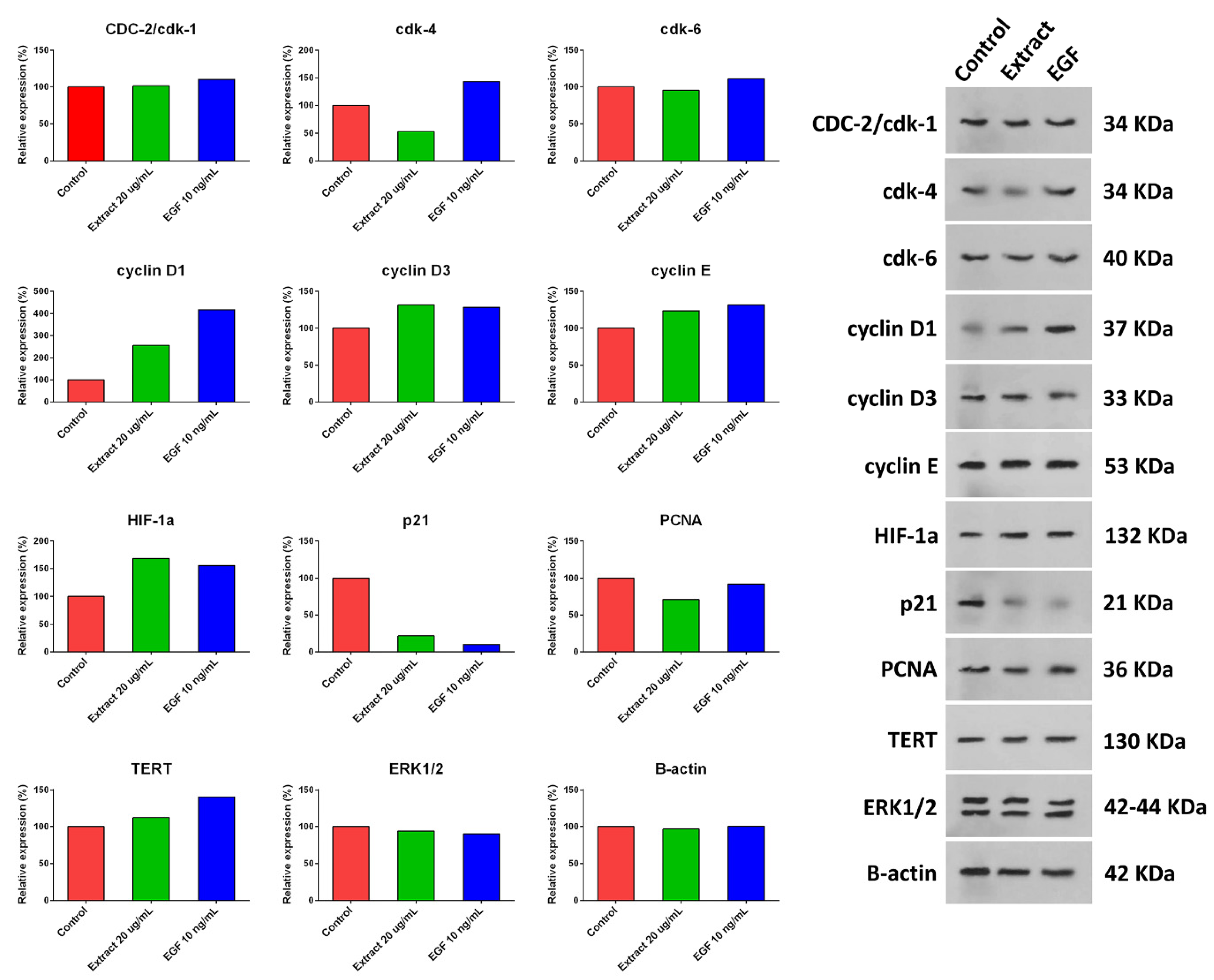 Marinedrugs 21 00267 g005