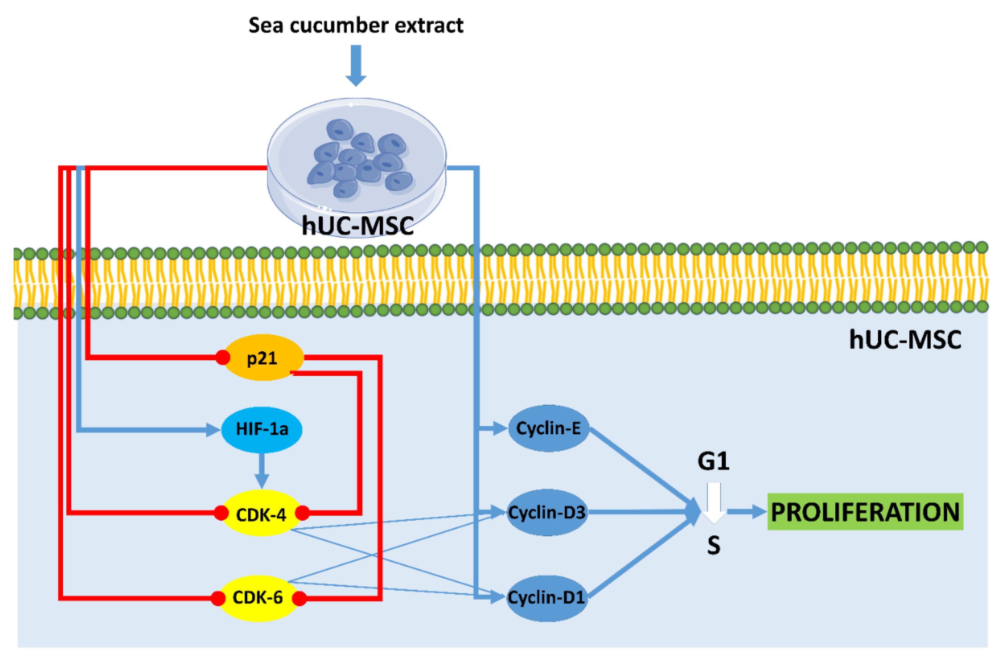 Marinedrugs 21 00267 g006
