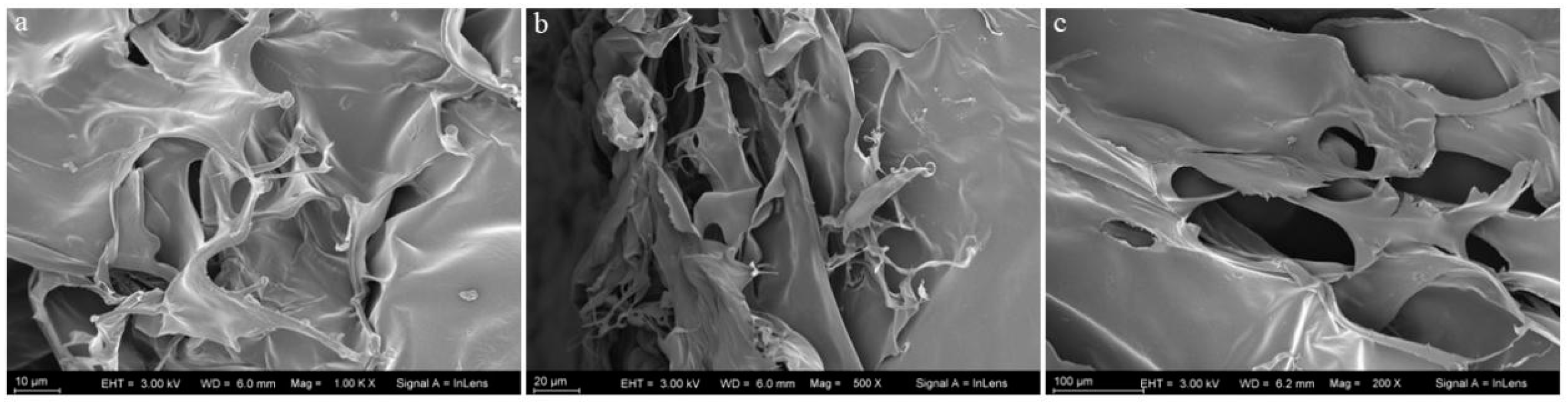 Marinedrugs 21 00274 g003 Marinedrugs 21 00274 g003