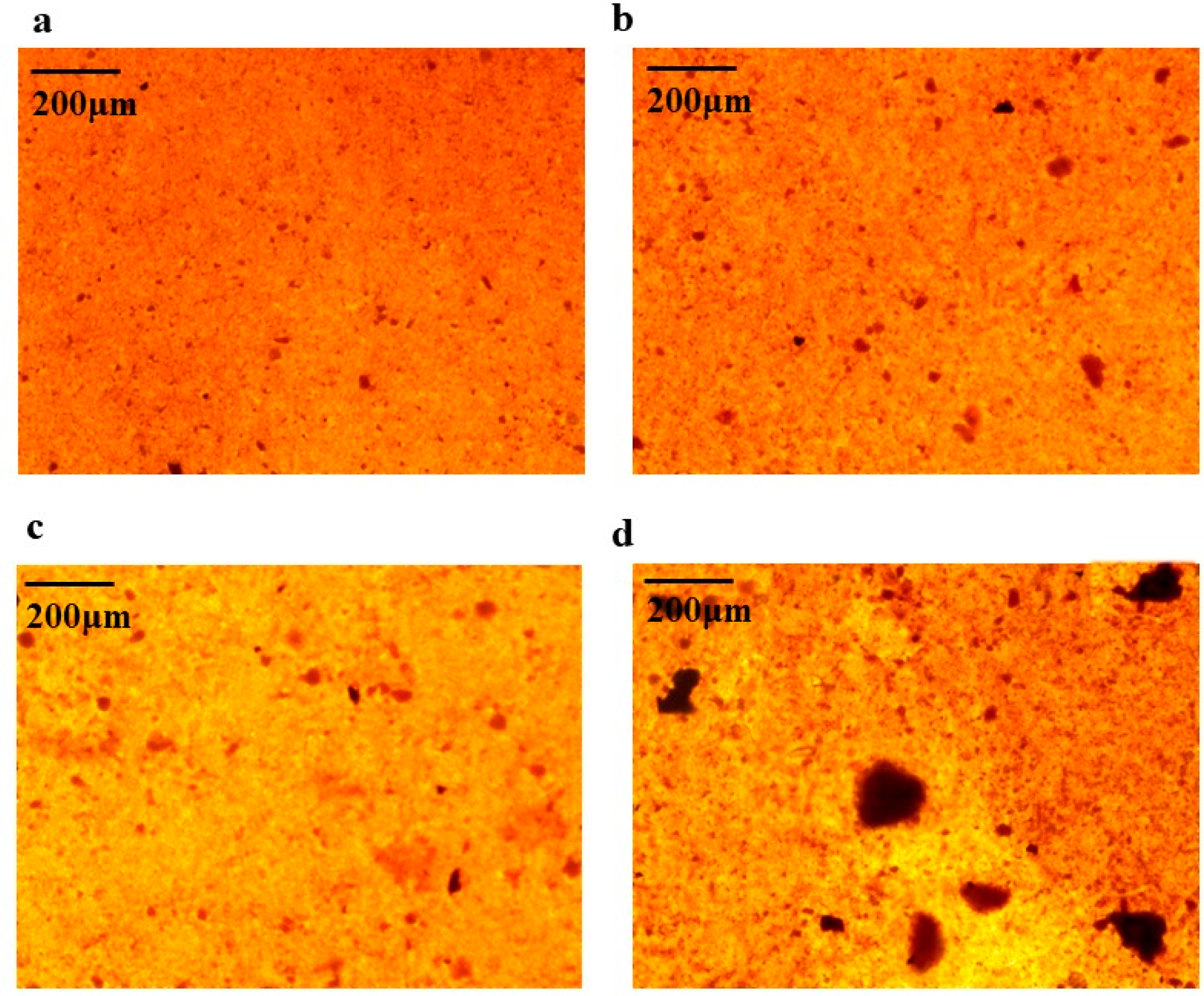 Marinedrugs 21 00274 g005 Marinedrugs 21 00274 g005