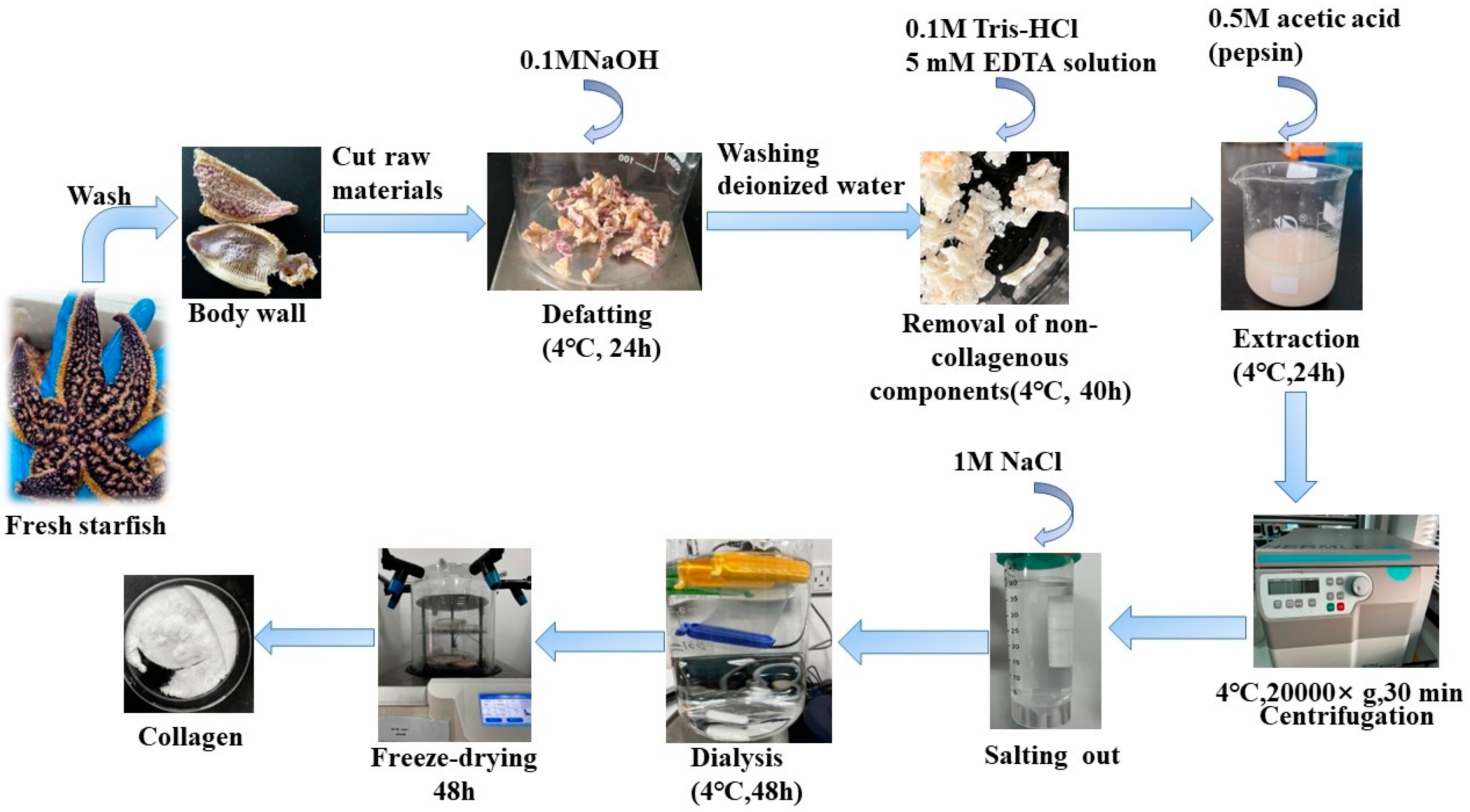 Marinedrugs 21 00274 g006 Marinedrugs 21 00274 g006