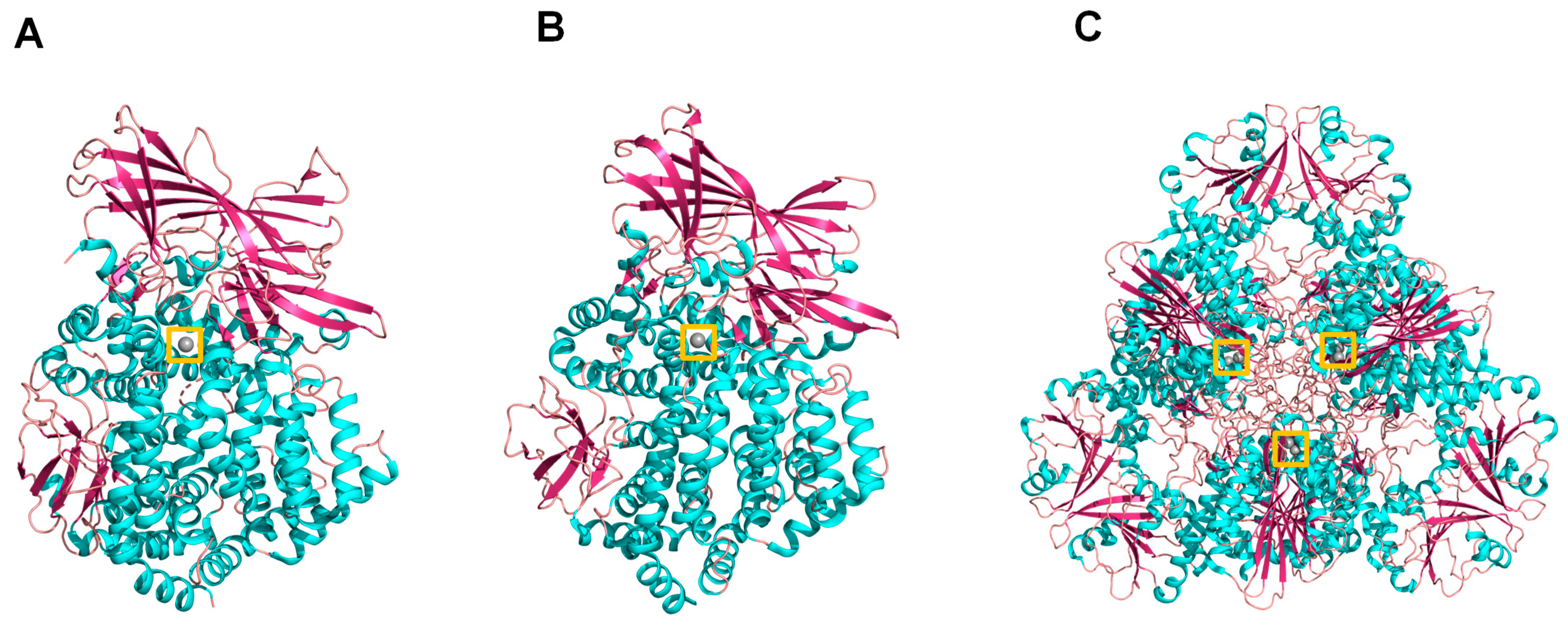 Marinedrugs 21 00279 g001