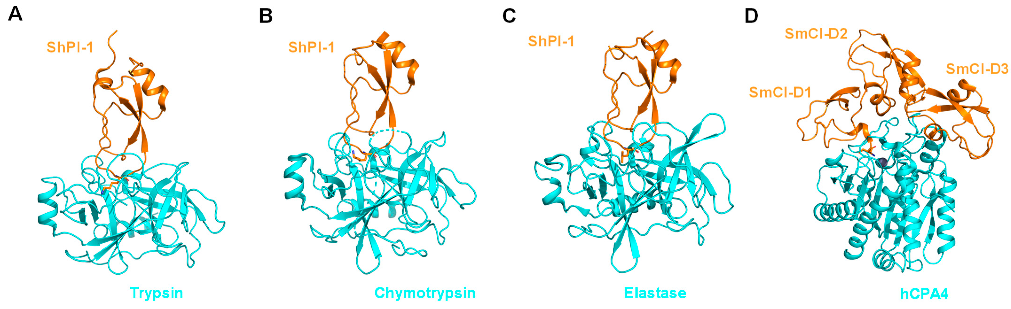 Marinedrugs 21 00279 g003
