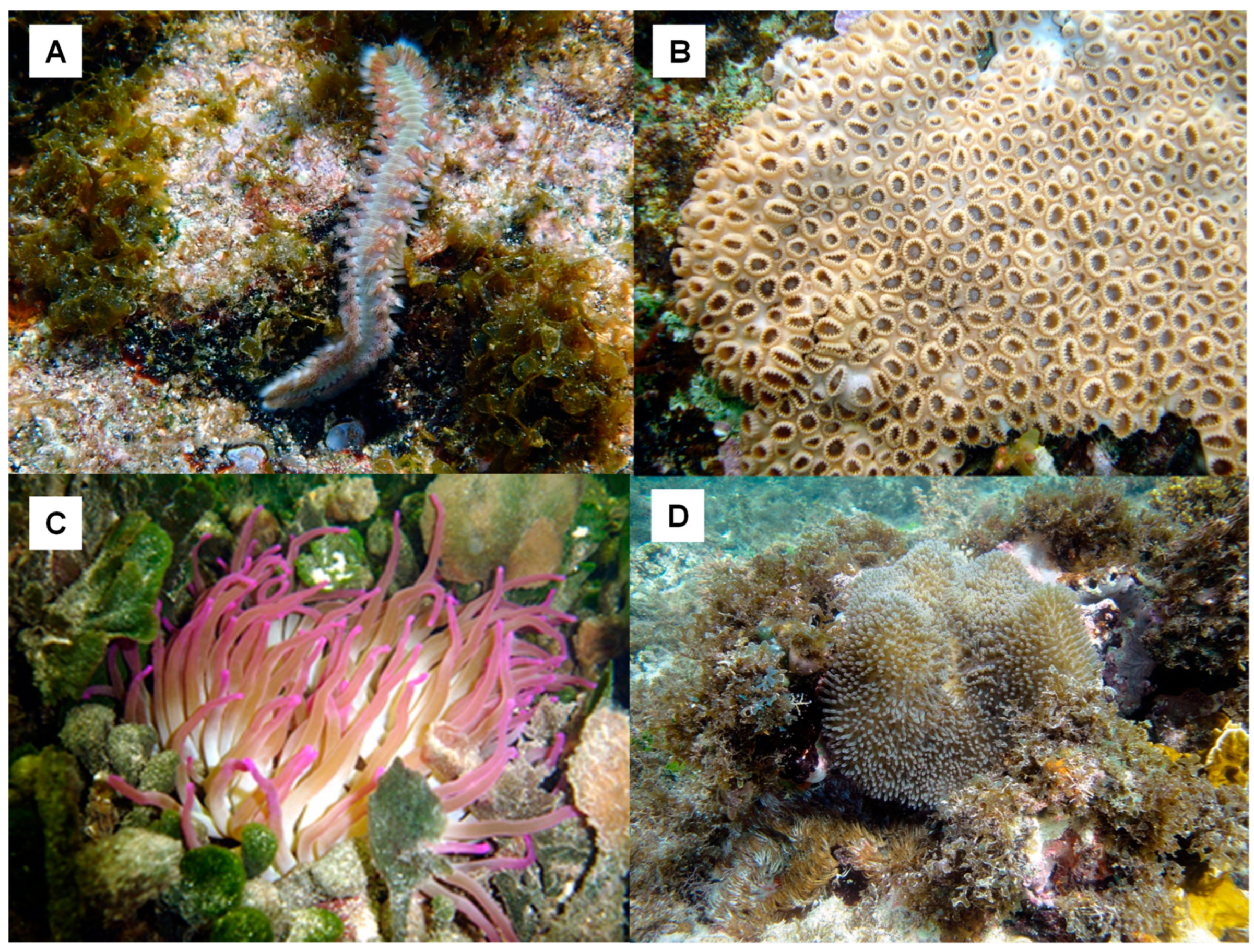 Marinedrugs 21 00279 g008