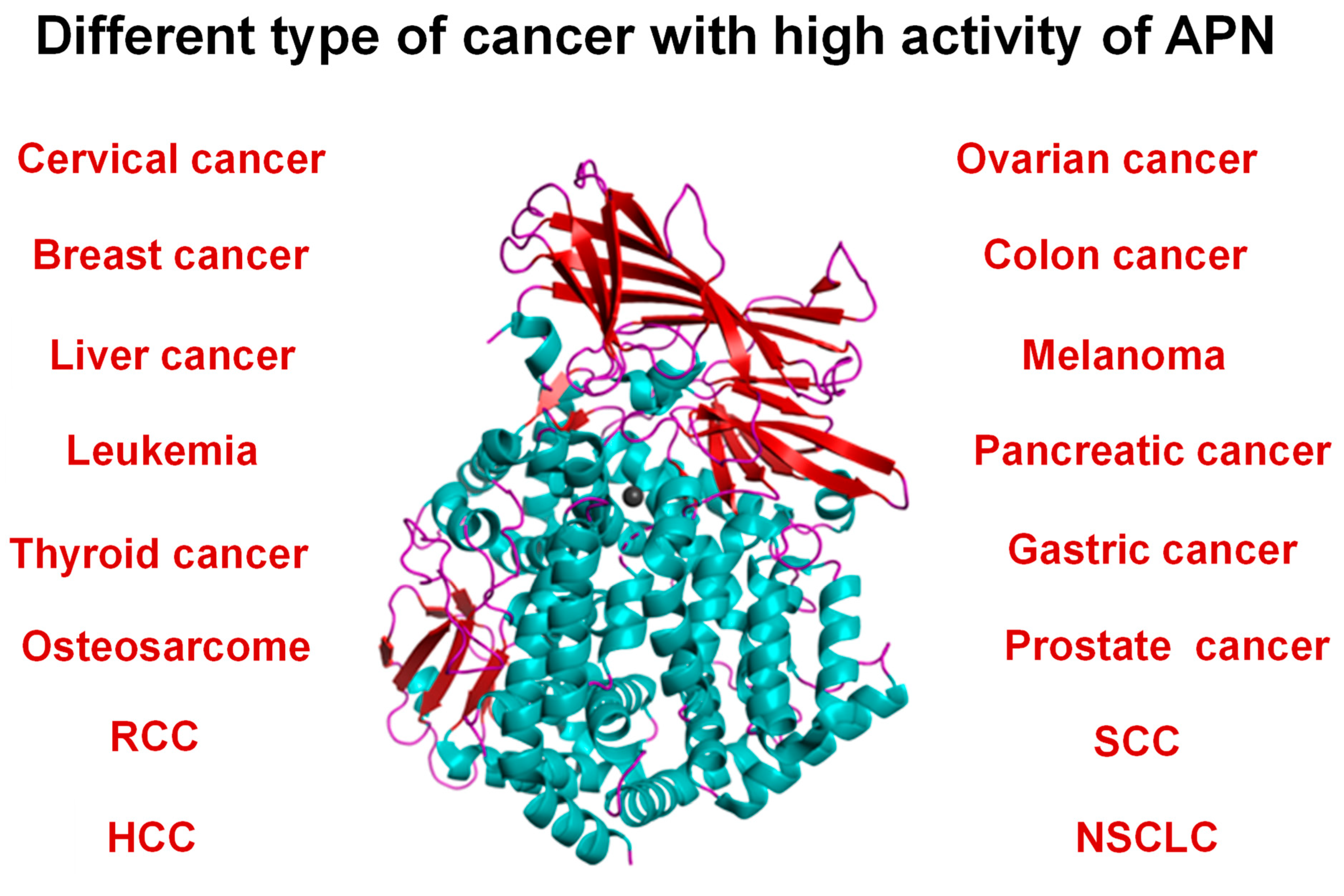 Marinedrugs 21 00279 g011