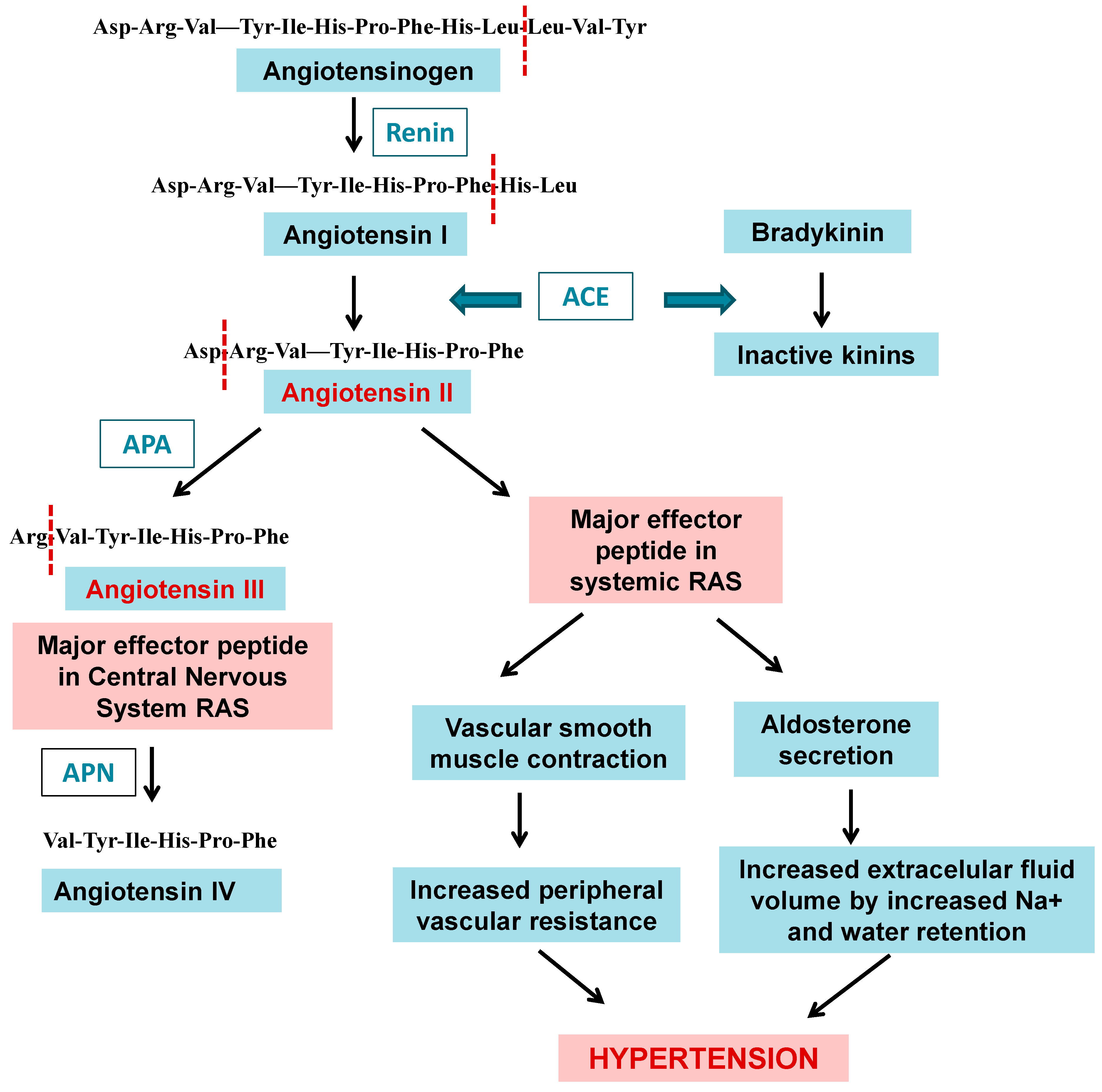 Marinedrugs 21 00279 g017