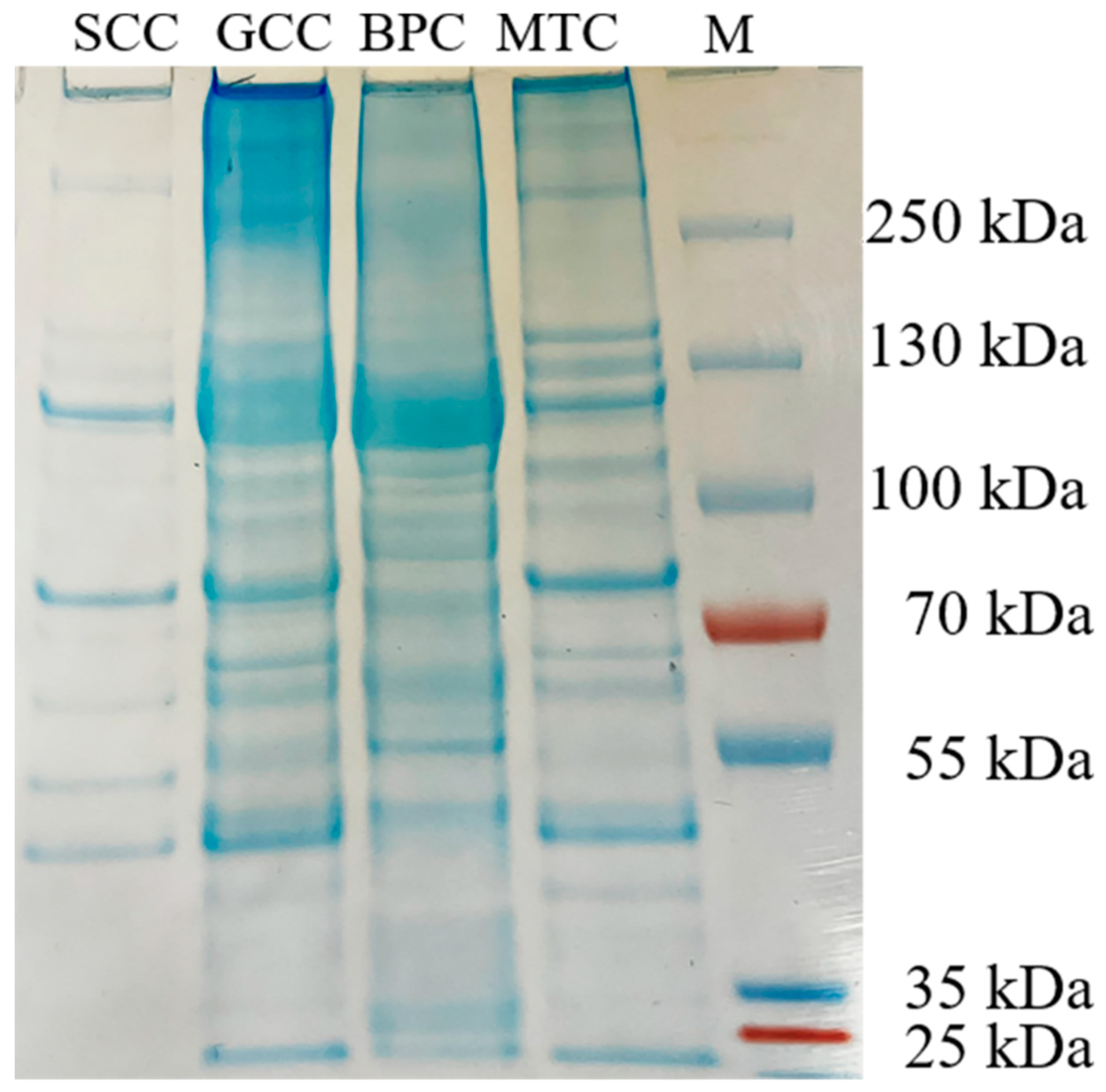 Marinedrugs 21 00280 g002