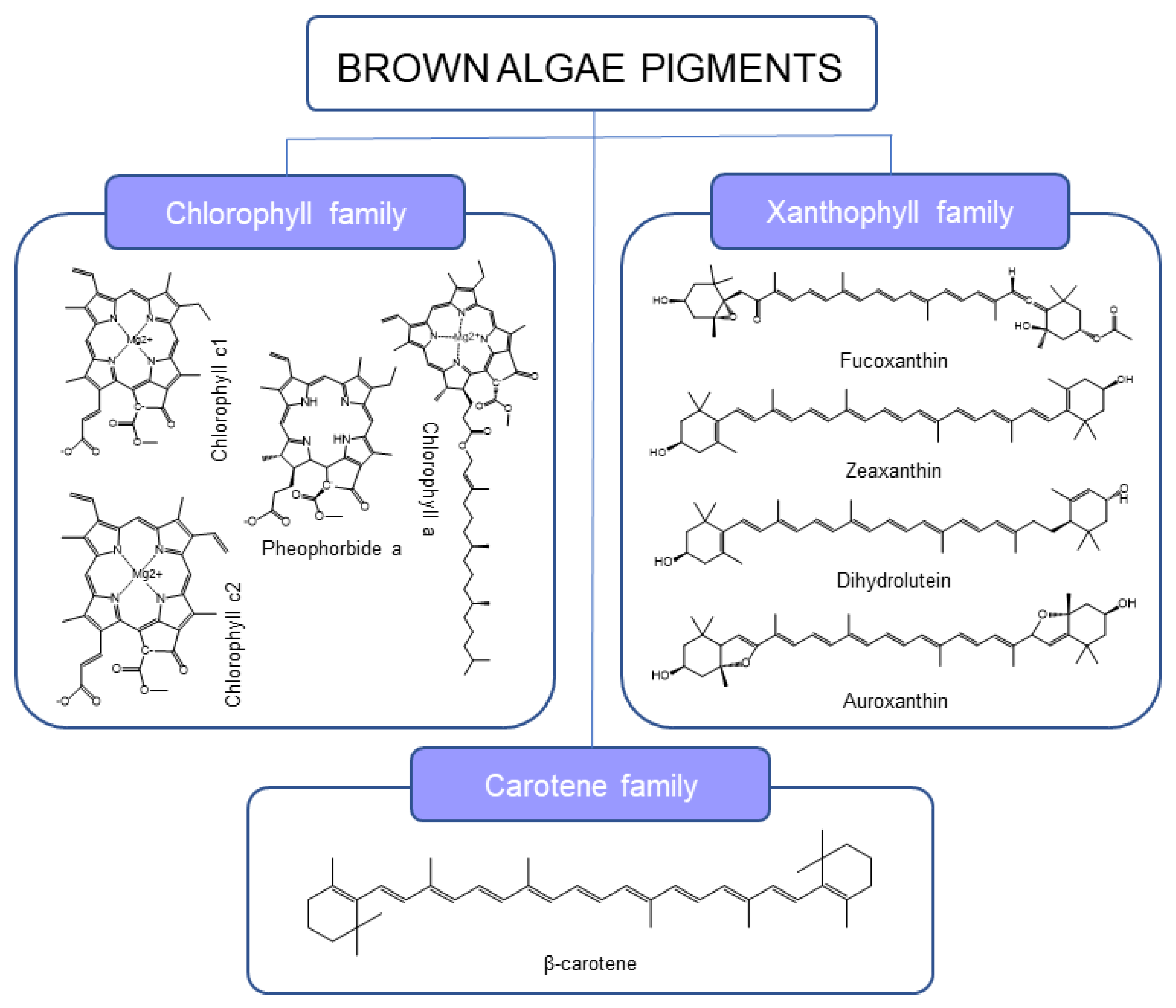 Marinedrugs 21 00282 g001