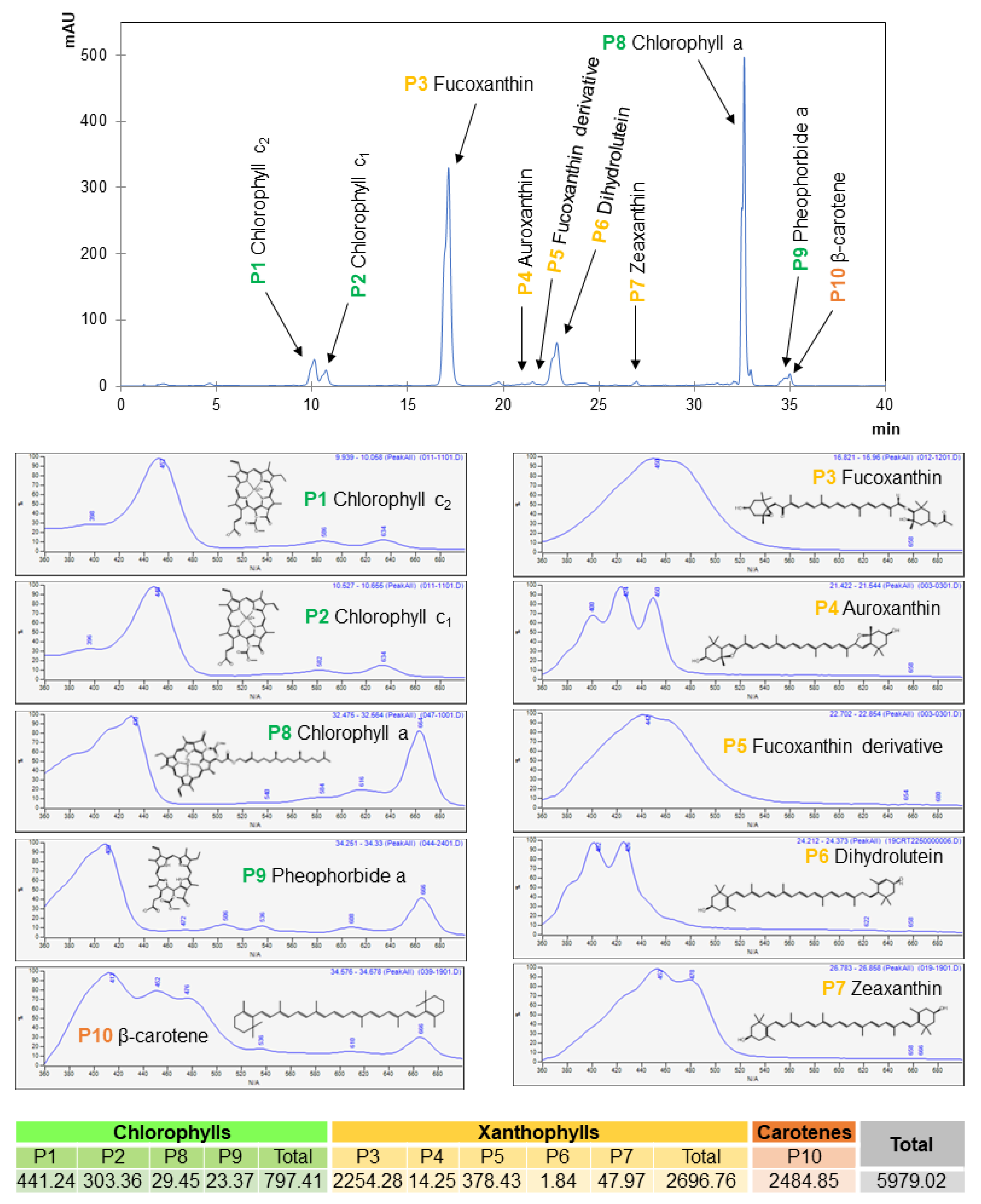 Marinedrugs 21 00282 g002