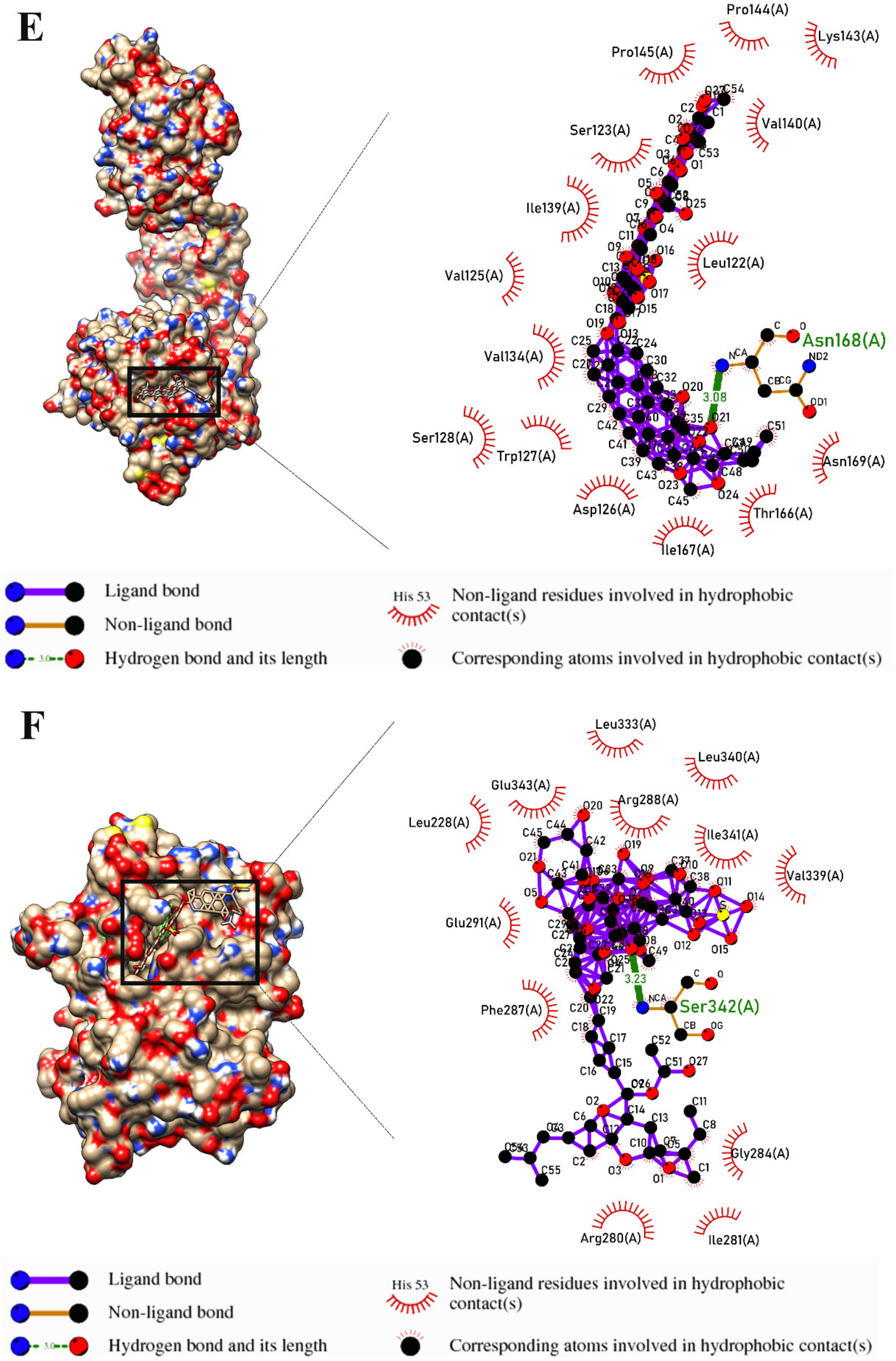 Marinedrugs 21 00283 g003c