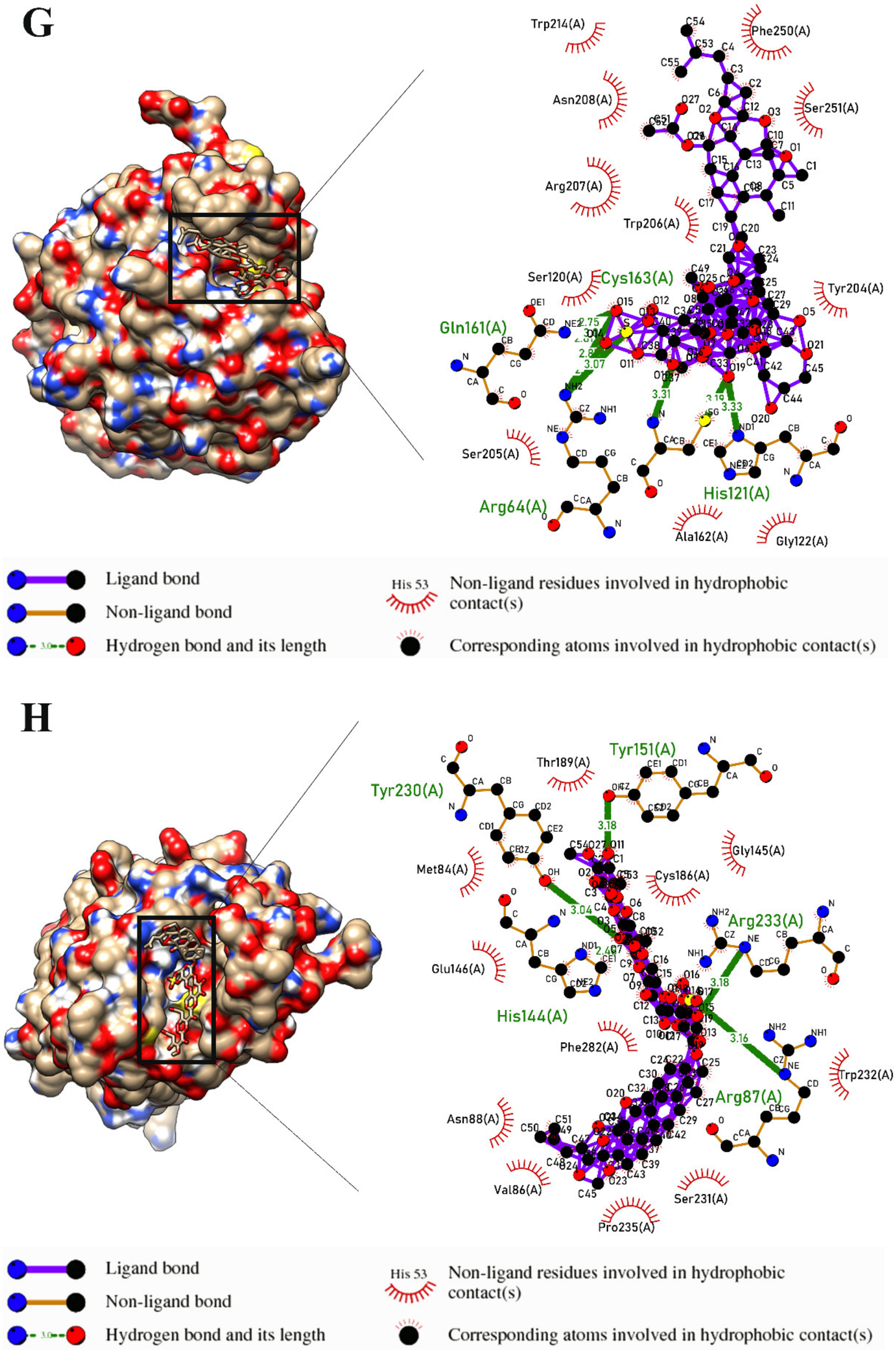 Marinedrugs 21 00283 g003d