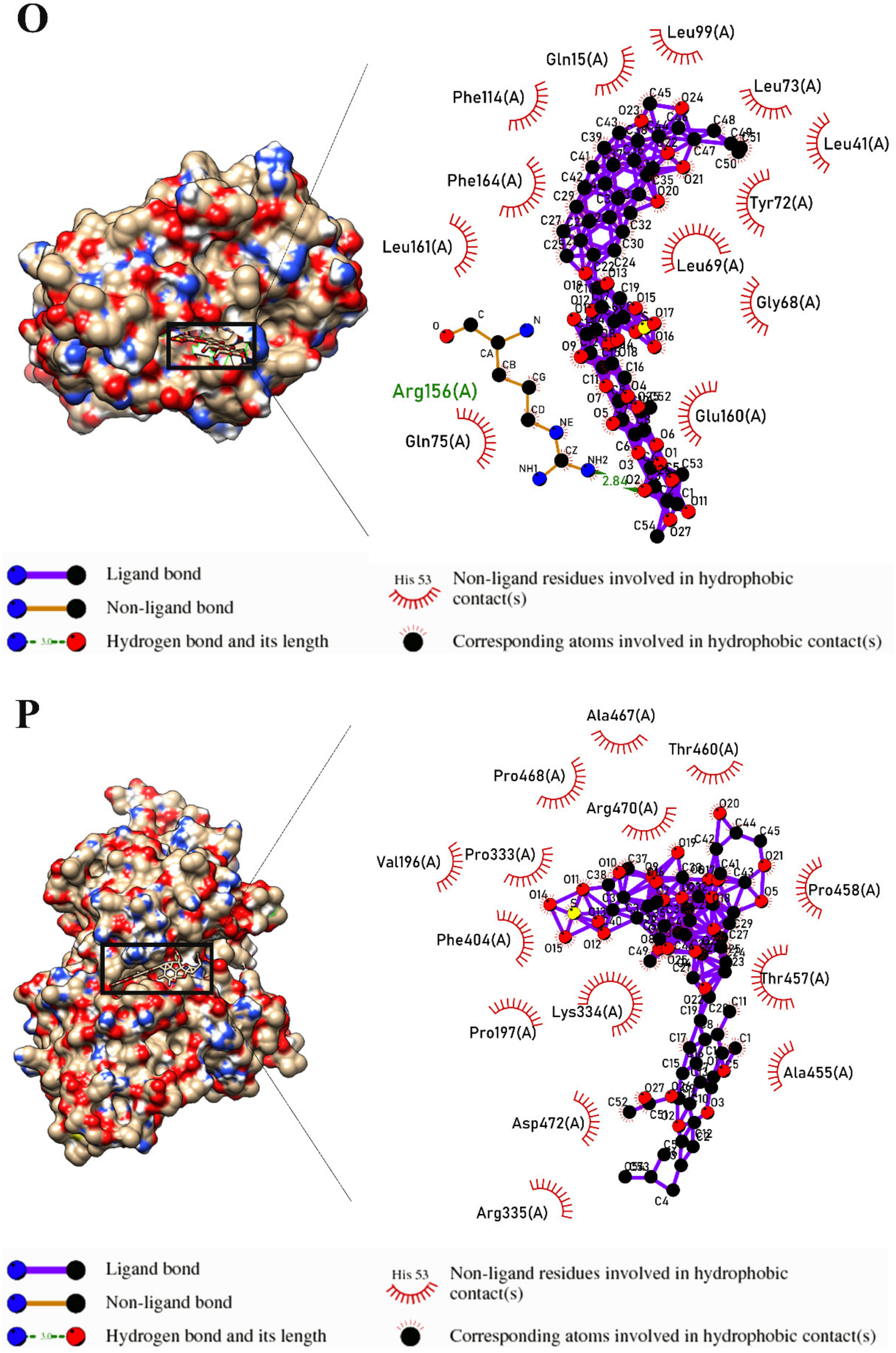 Marinedrugs 21 00283 g003h