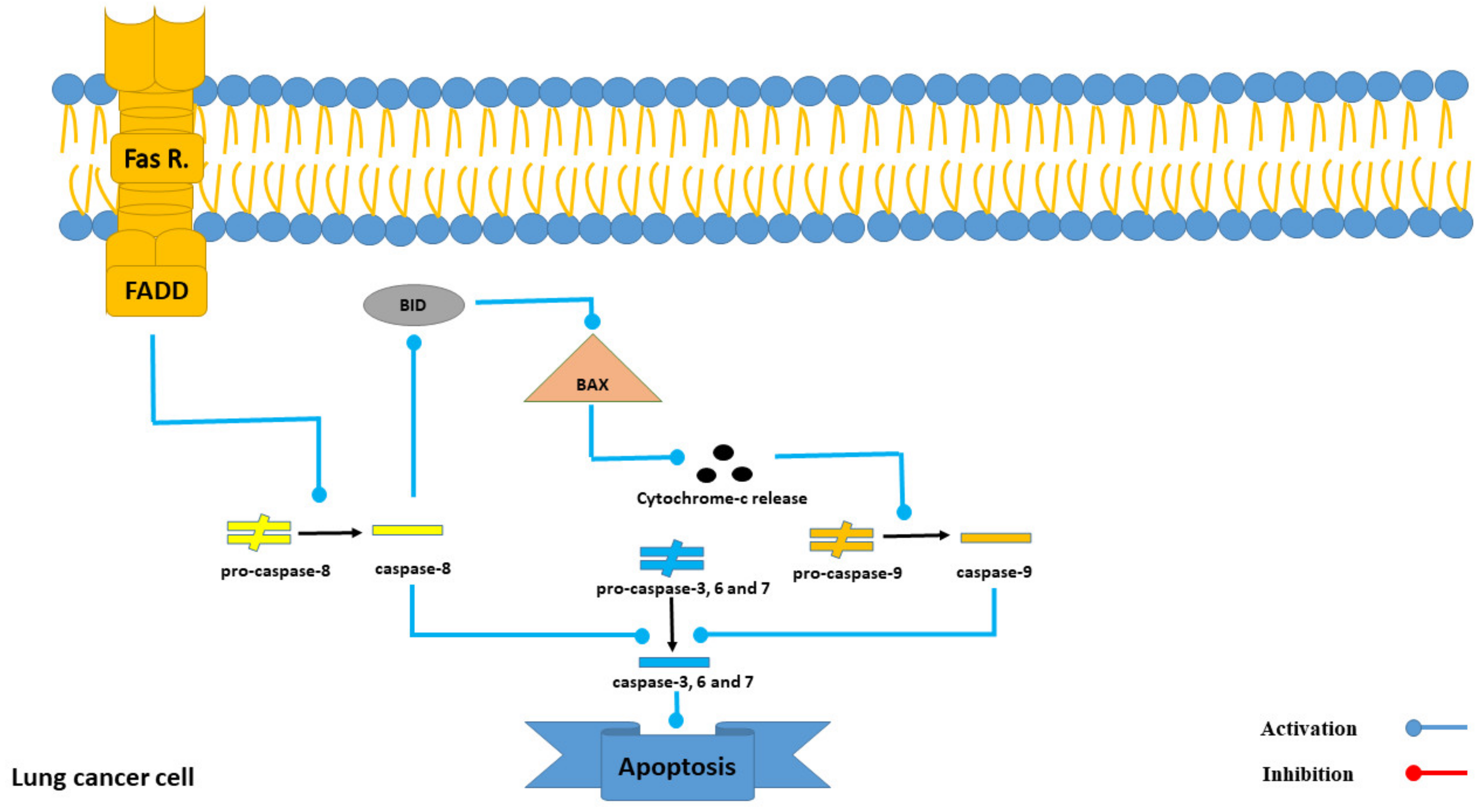 Marinedrugs 21 00283 g005