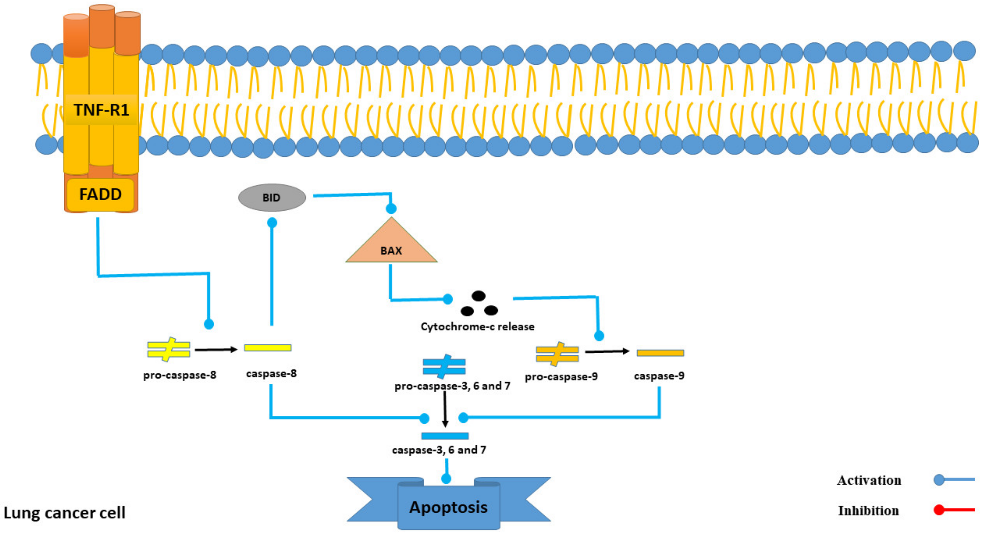 Marinedrugs 21 00283 g006