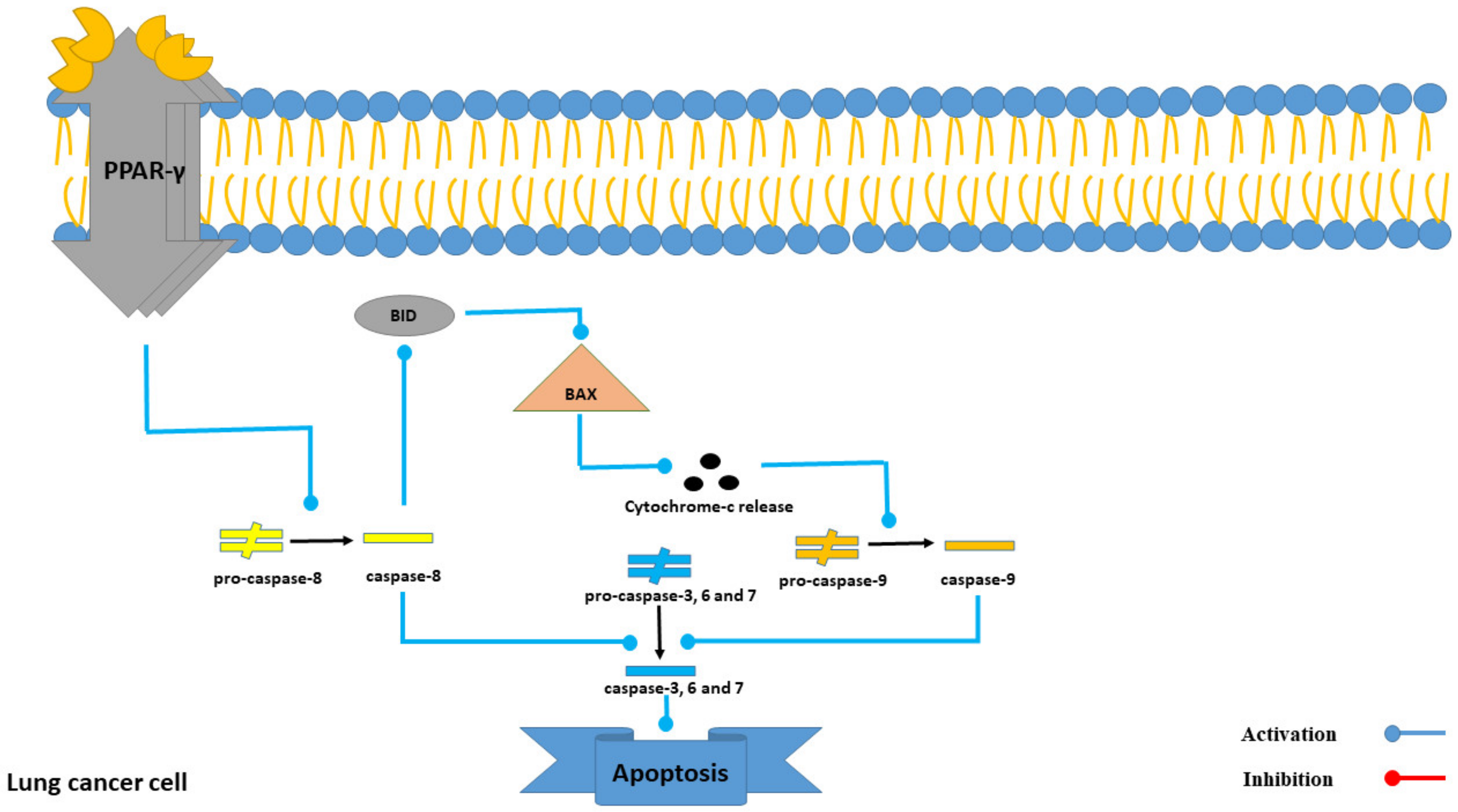 Marinedrugs 21 00283 g008
