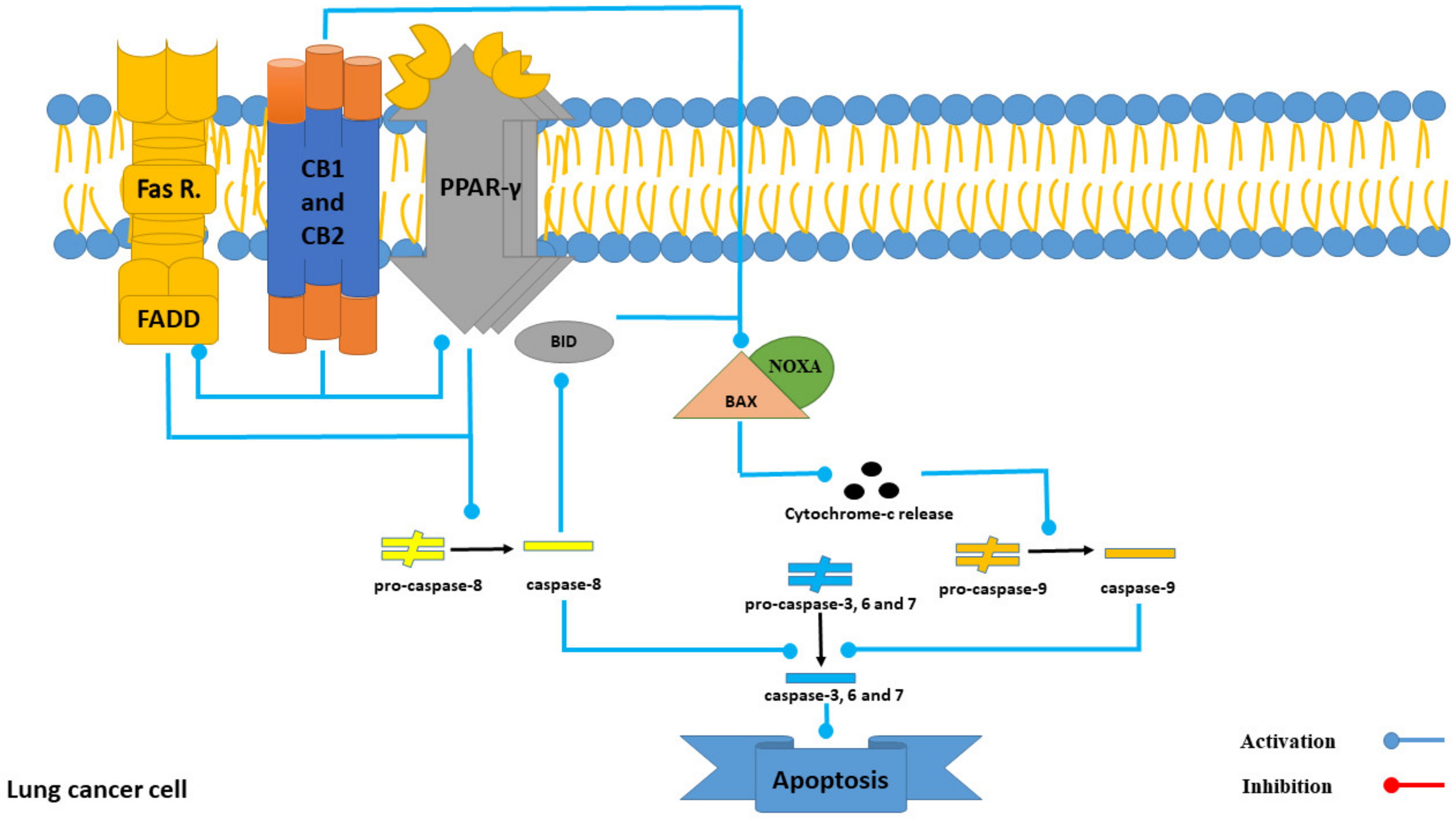 Marinedrugs 21 00283 g009