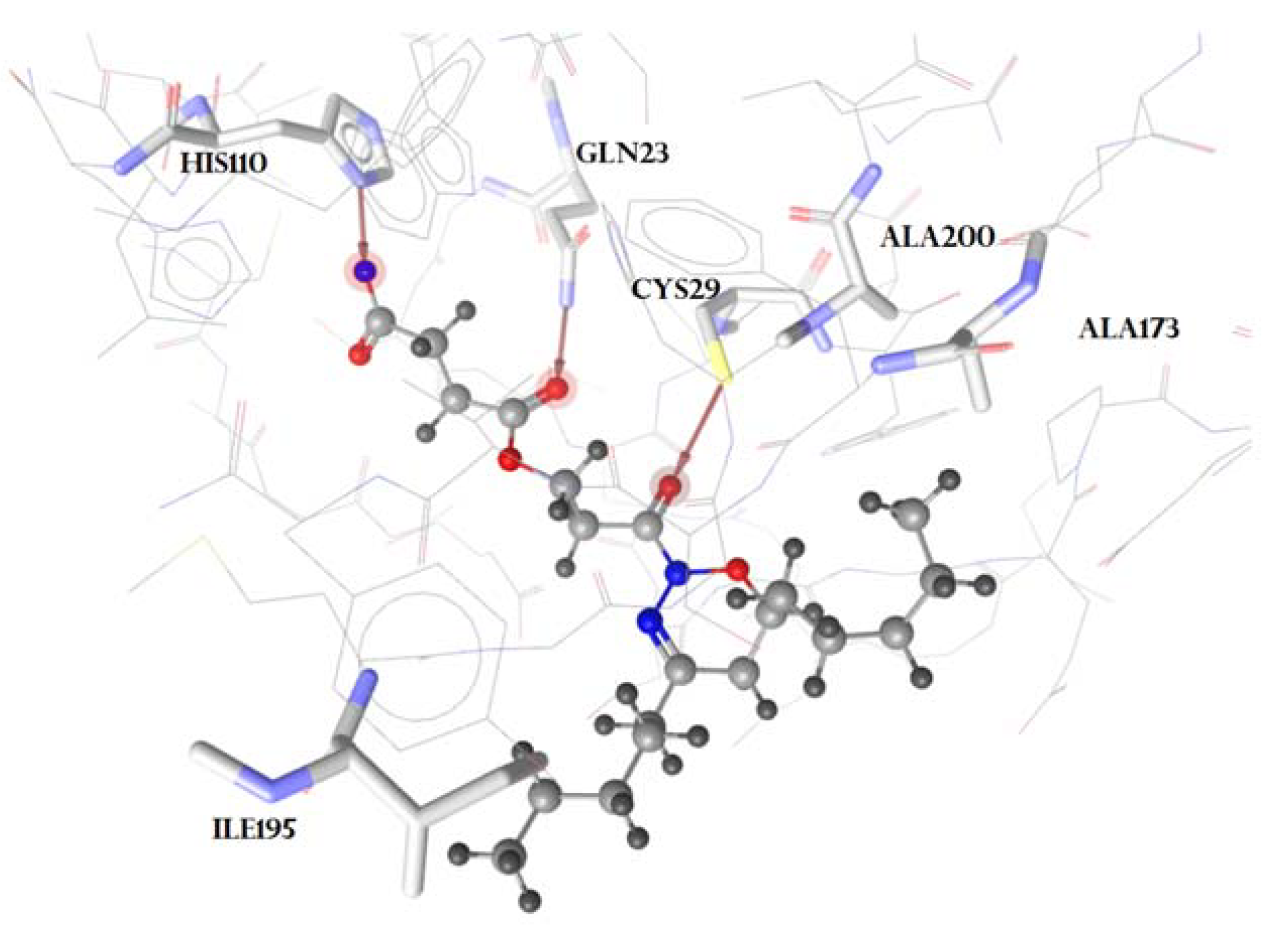 Marinedrugs 21 00284 g005