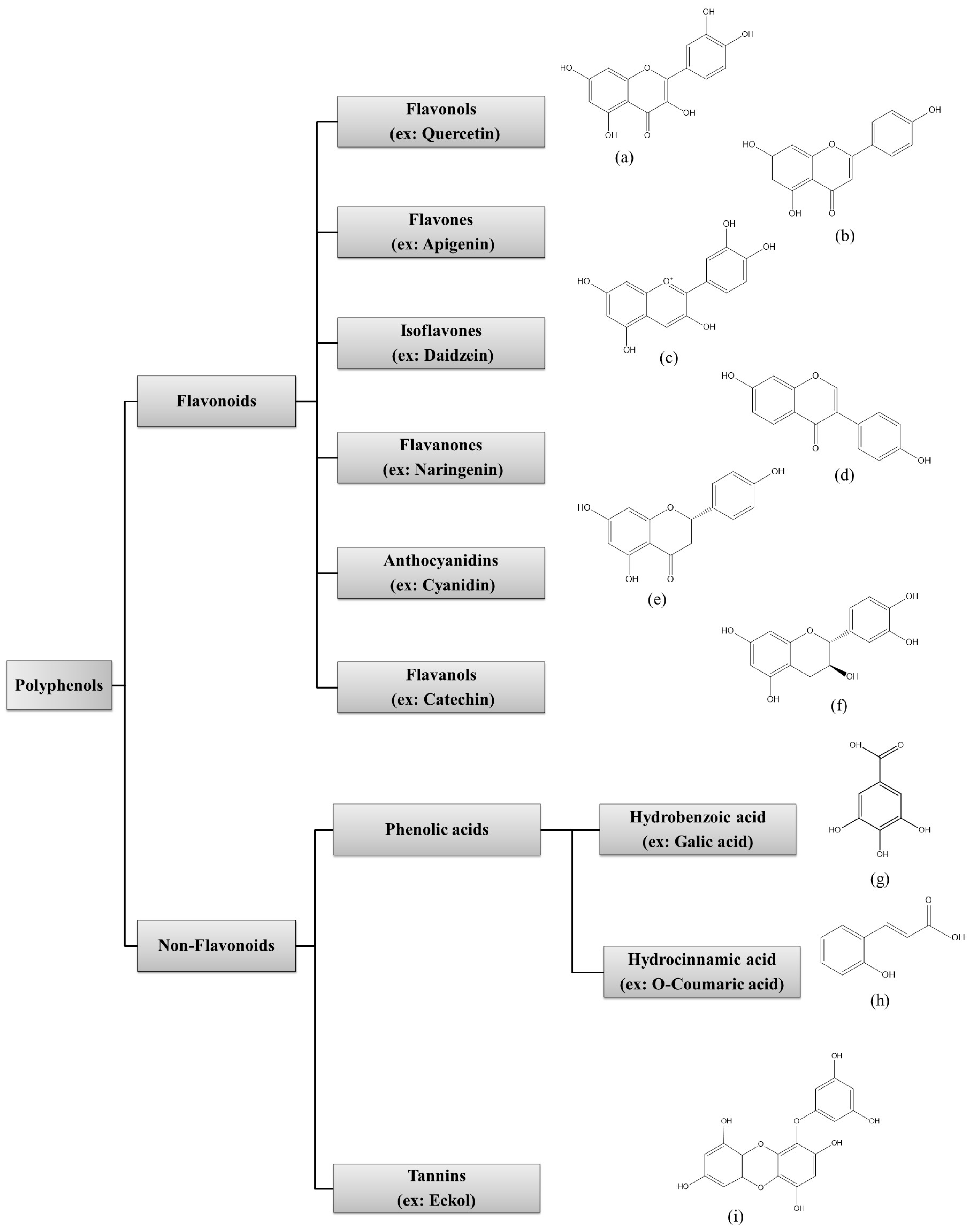 Marinedrugs 21 00285 g001