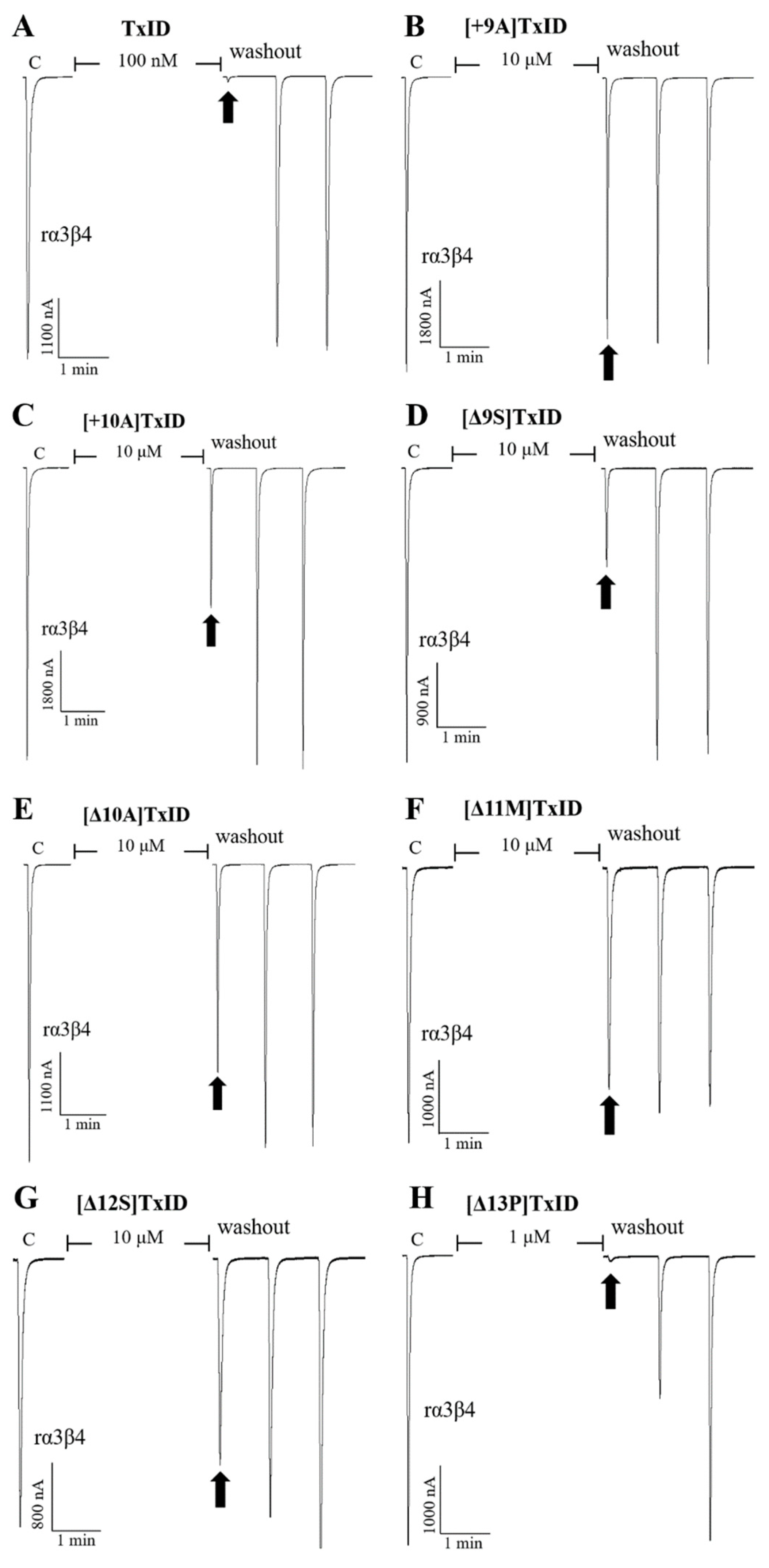 Marinedrugs 21 00286 g004
