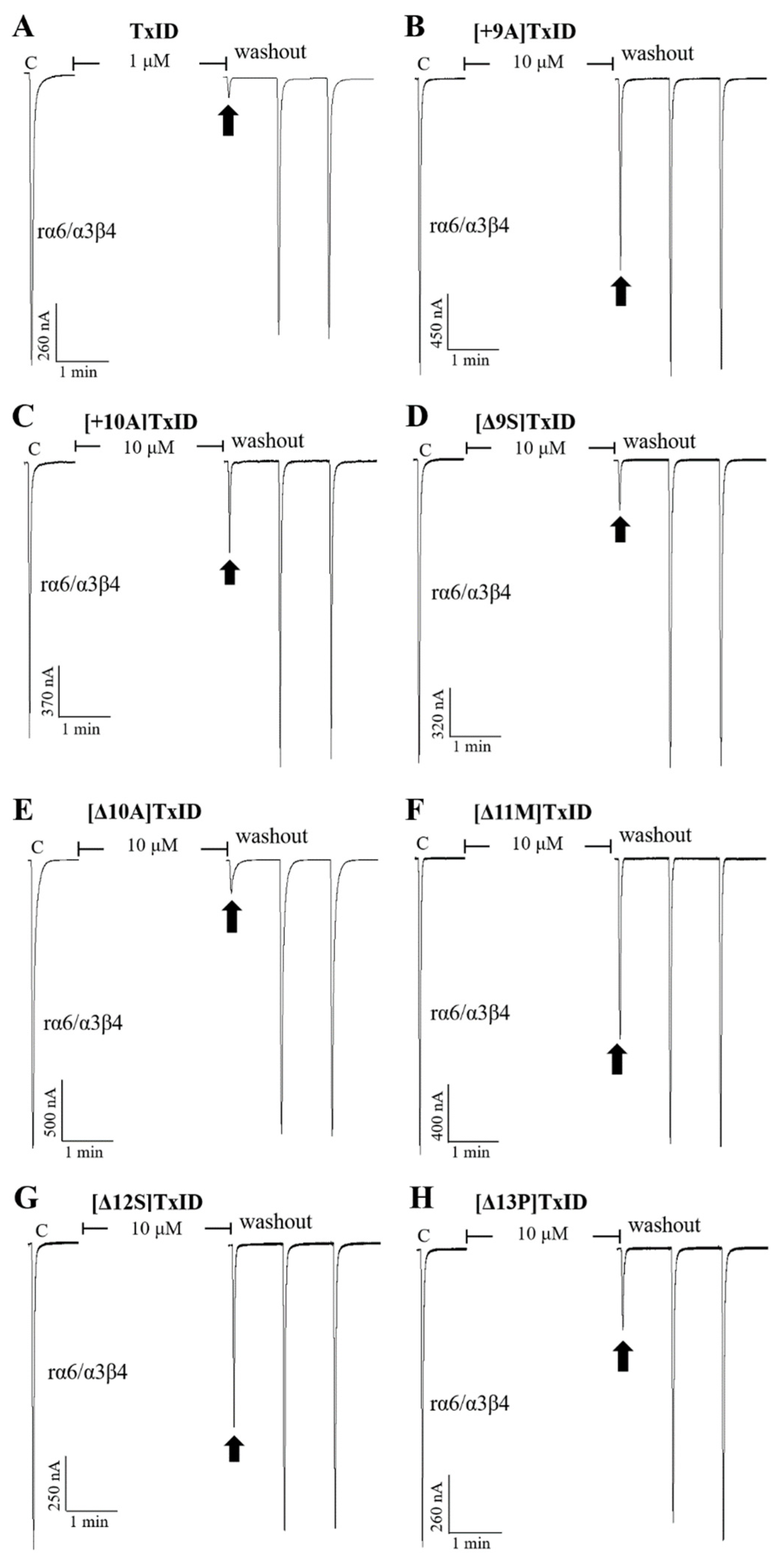 Marinedrugs 21 00286 g005