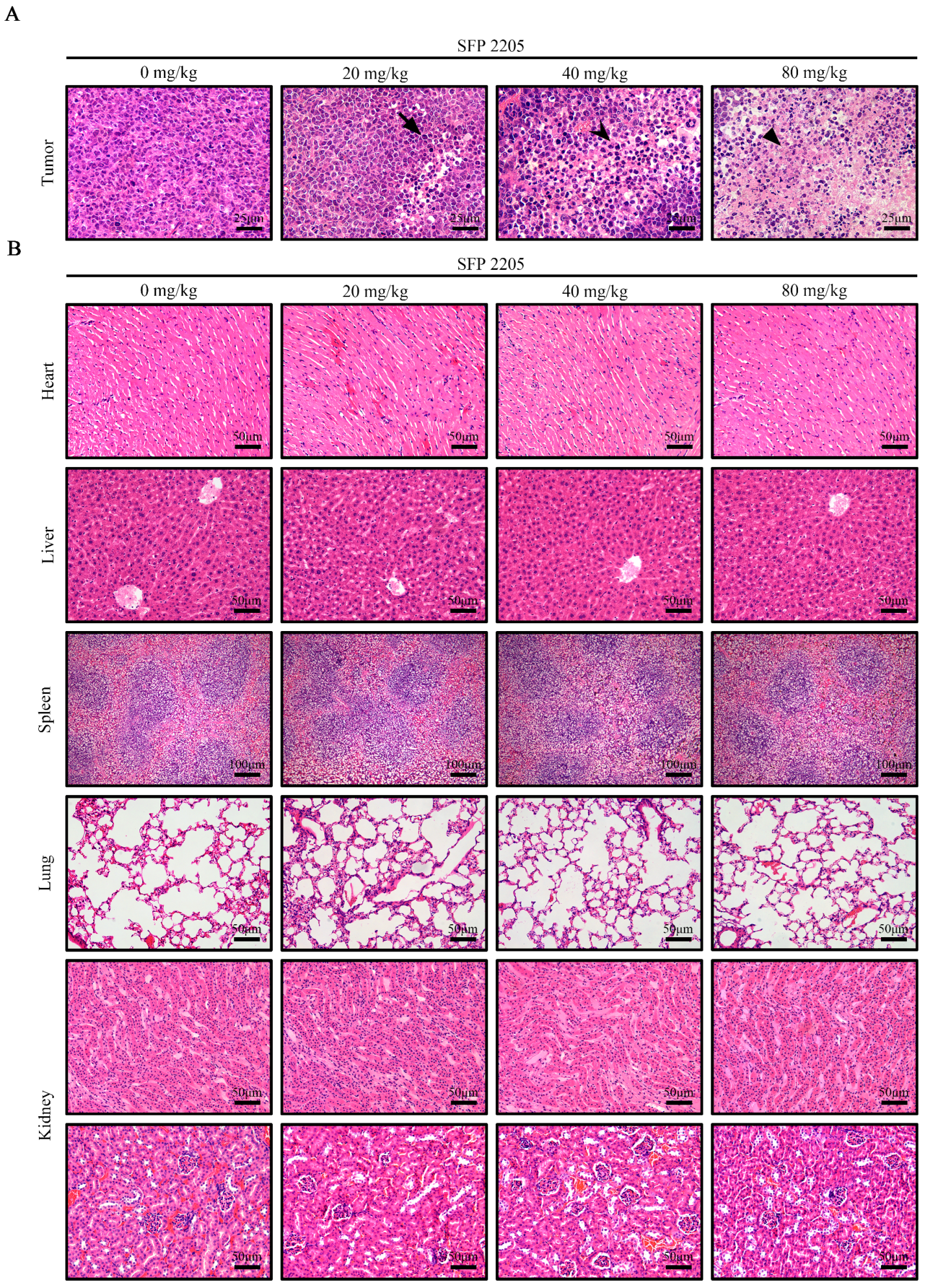 Marinedrugs 21 00289 g006