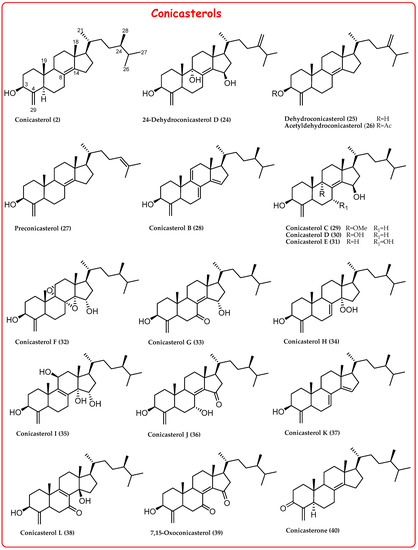 Marinedrugs 21 00291 g003