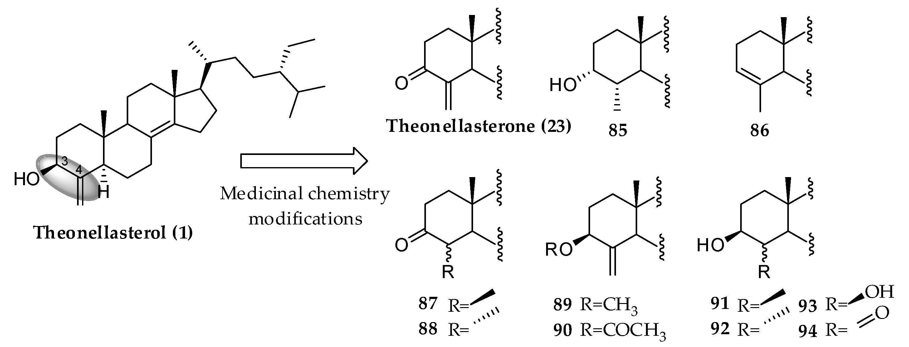 Marinedrugs 21 00291 g009