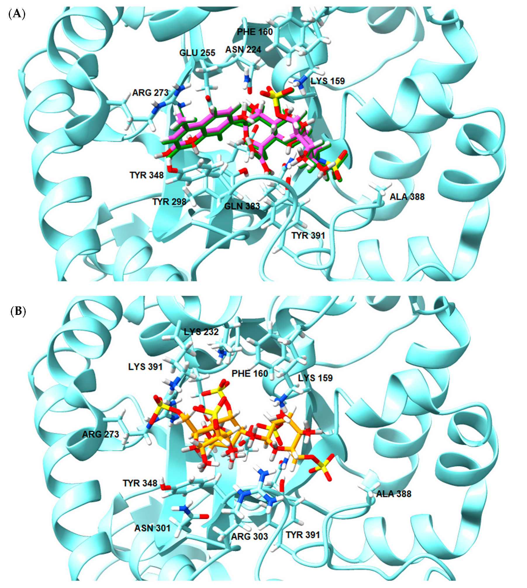 Marinedrugs 21 00295 g007