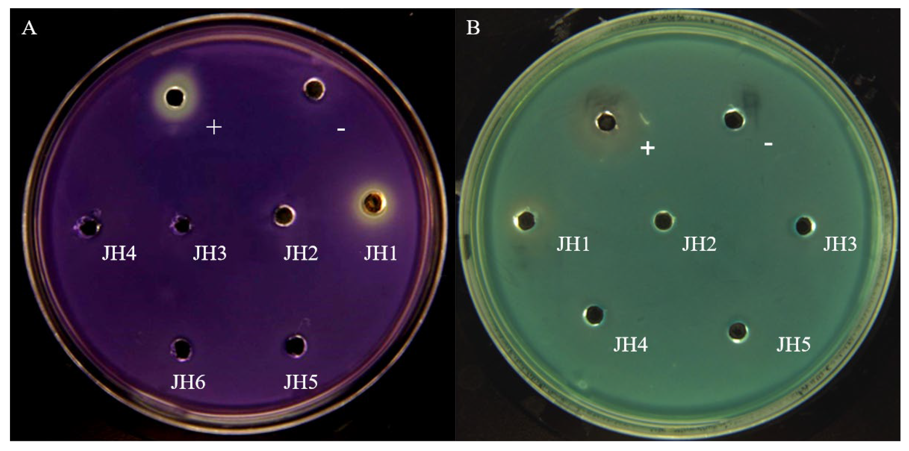 Marinedrugs 21 00296 g001