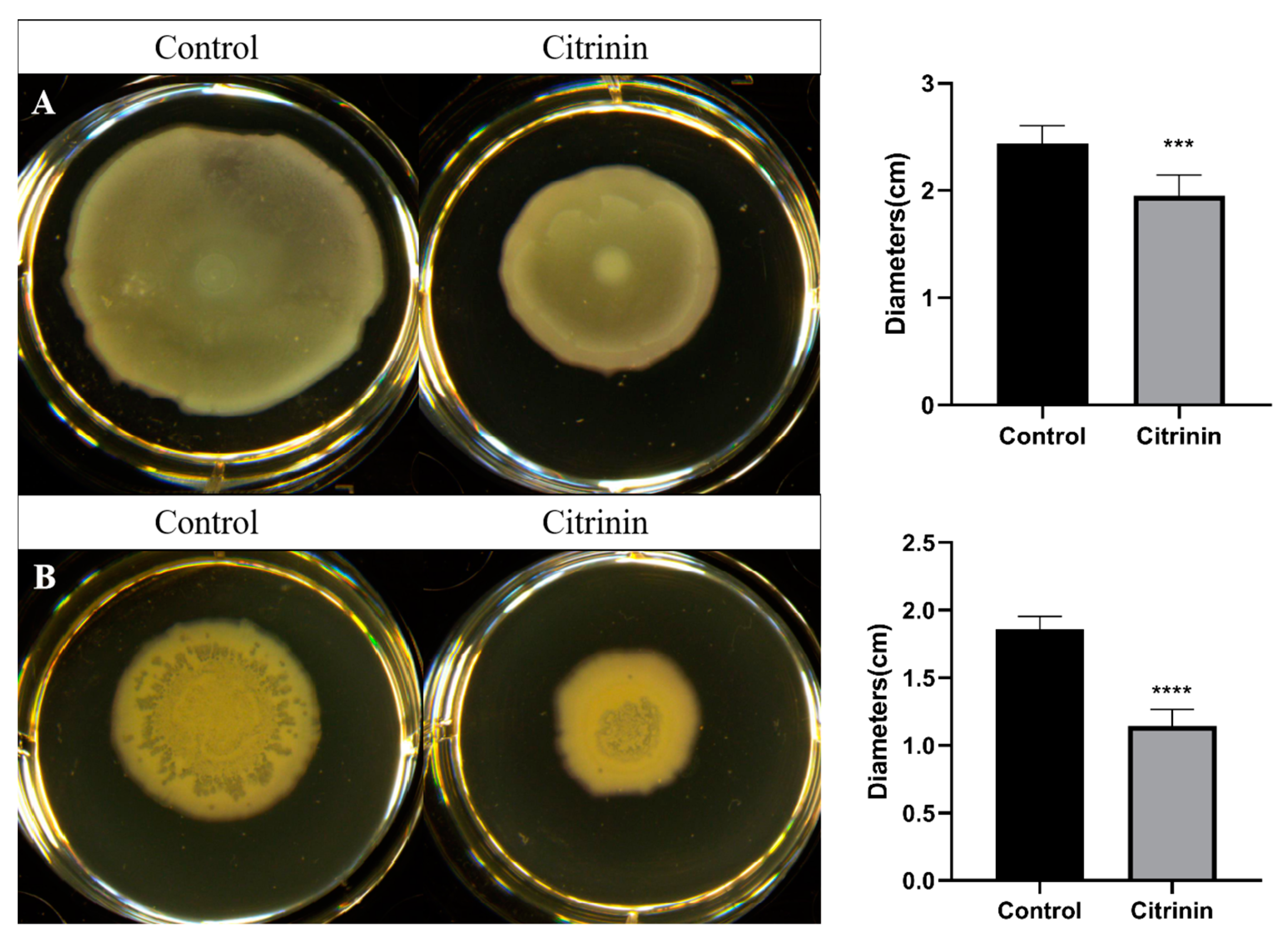 Marinedrugs 21 00296 g004