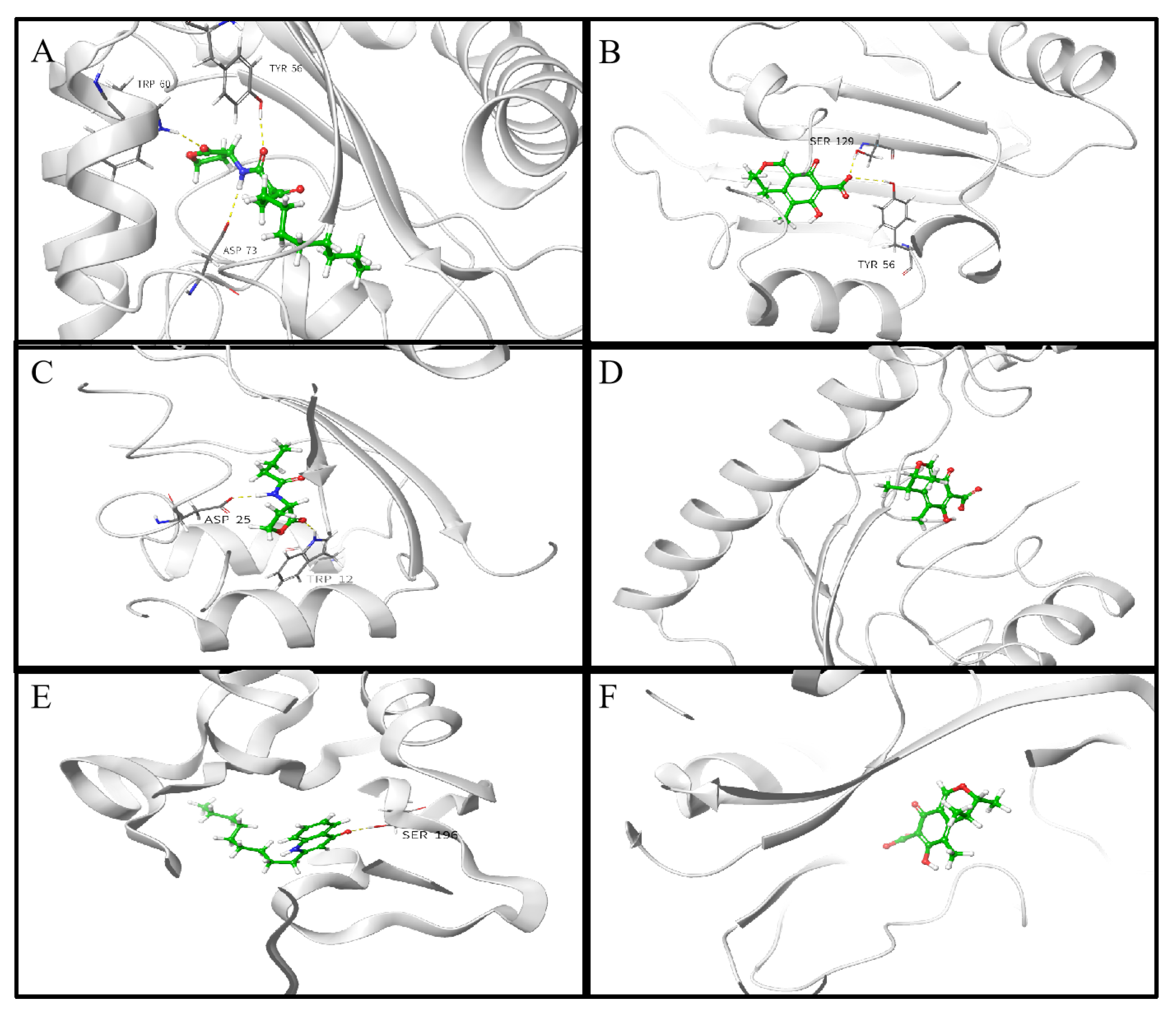 Marinedrugs 21 00296 g008