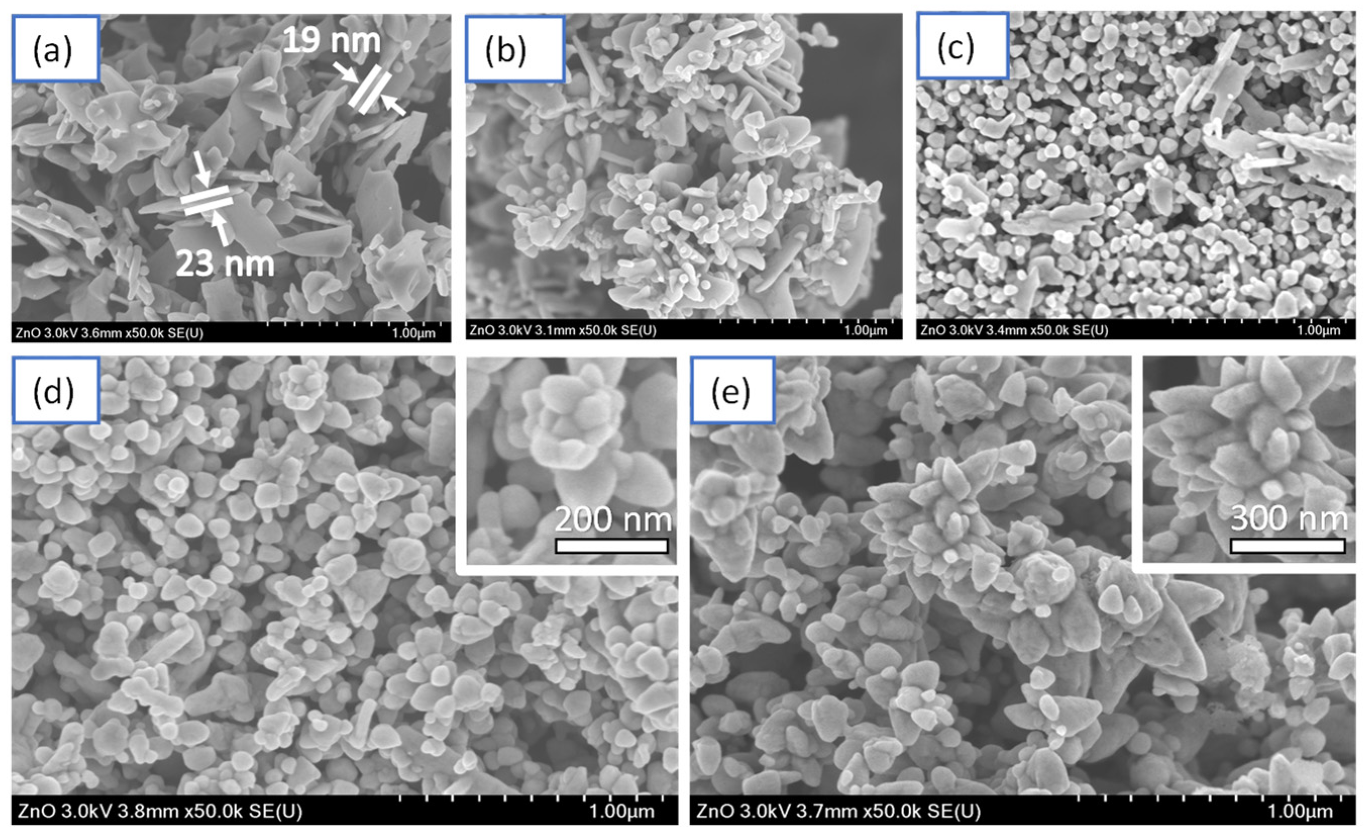 Marinedrugs 21 00297 g006