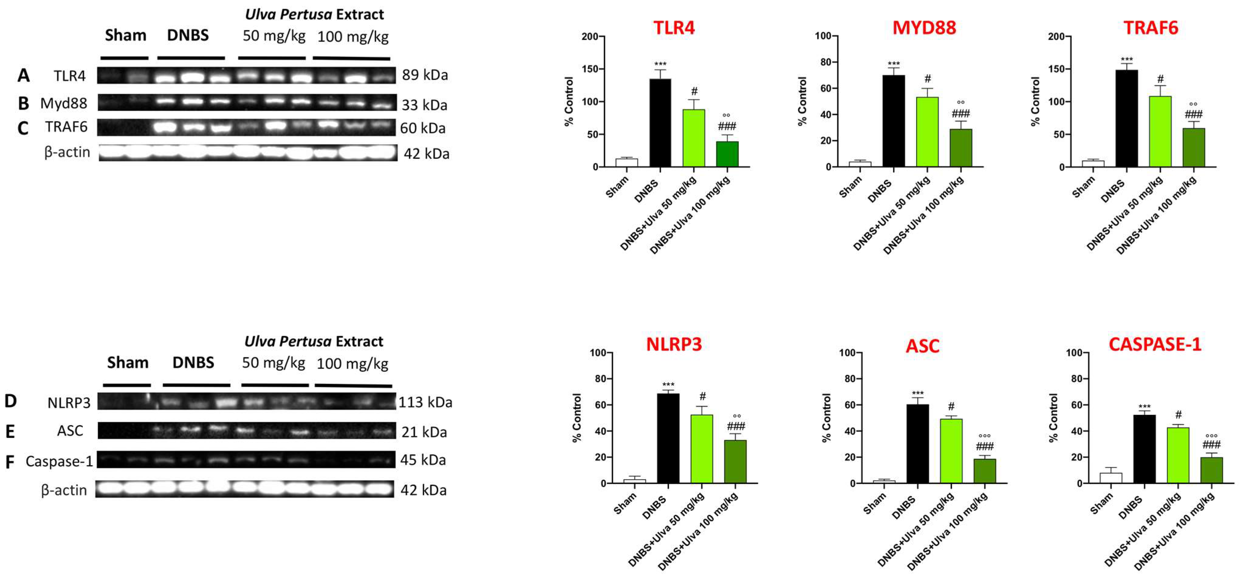 Marinedrugs 21 00298 g009 Marinedrugs 21 00298 g009