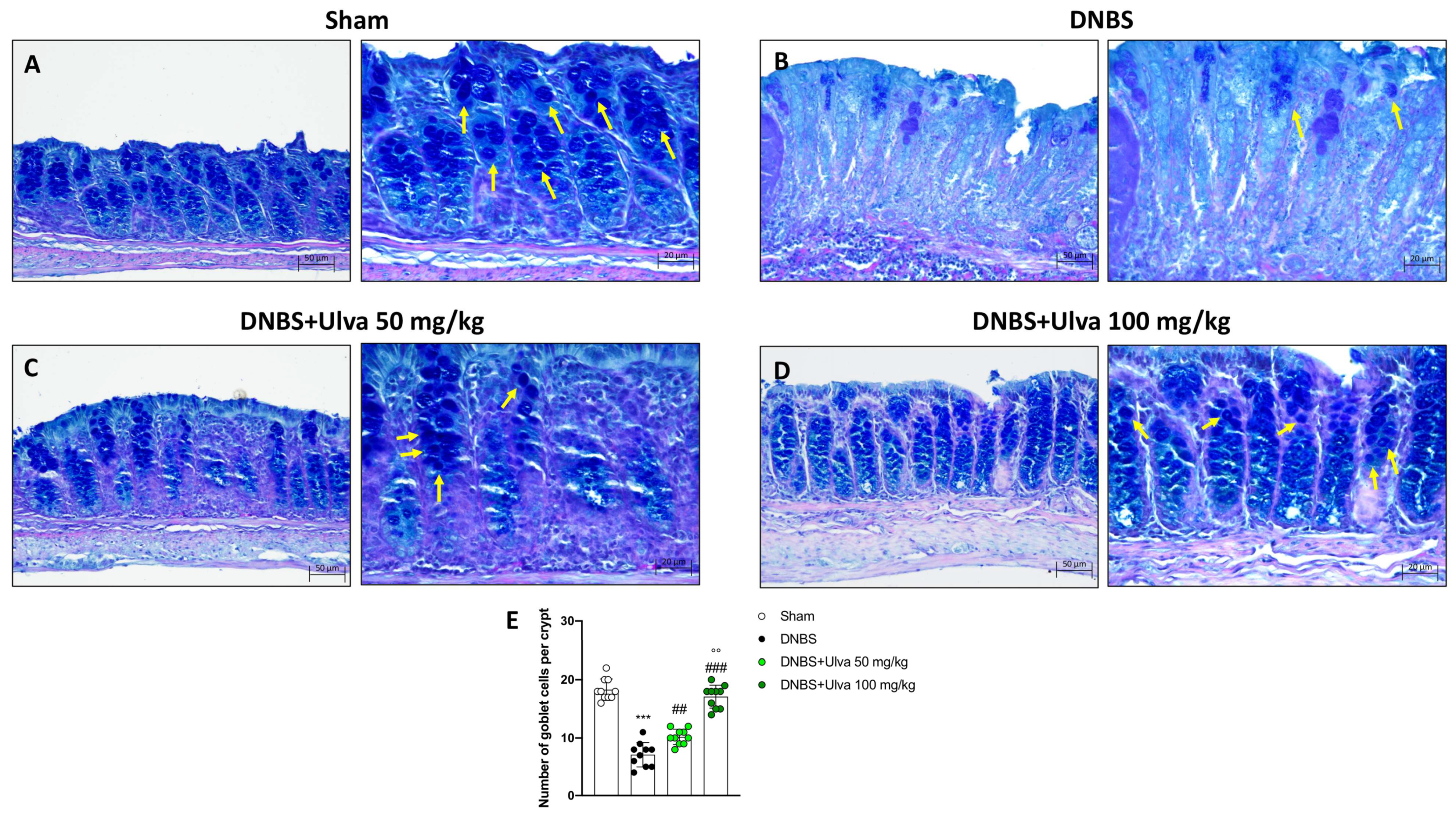 Marinedrugs 21 00298 g010 Marinedrugs 21 00298 g010