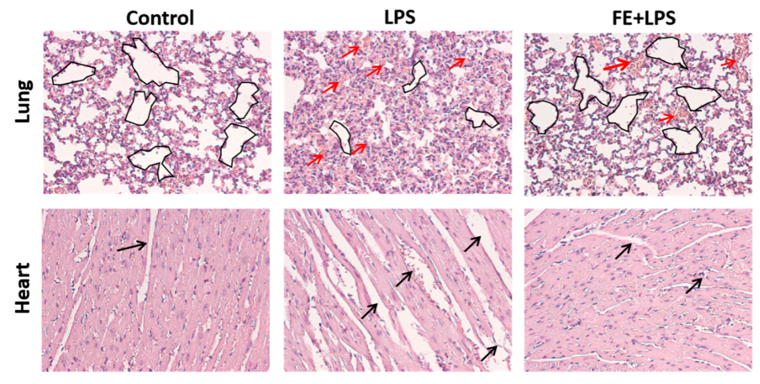 Marinedrugs 21 00302 g004 Marinedrugs 21 00302 g004