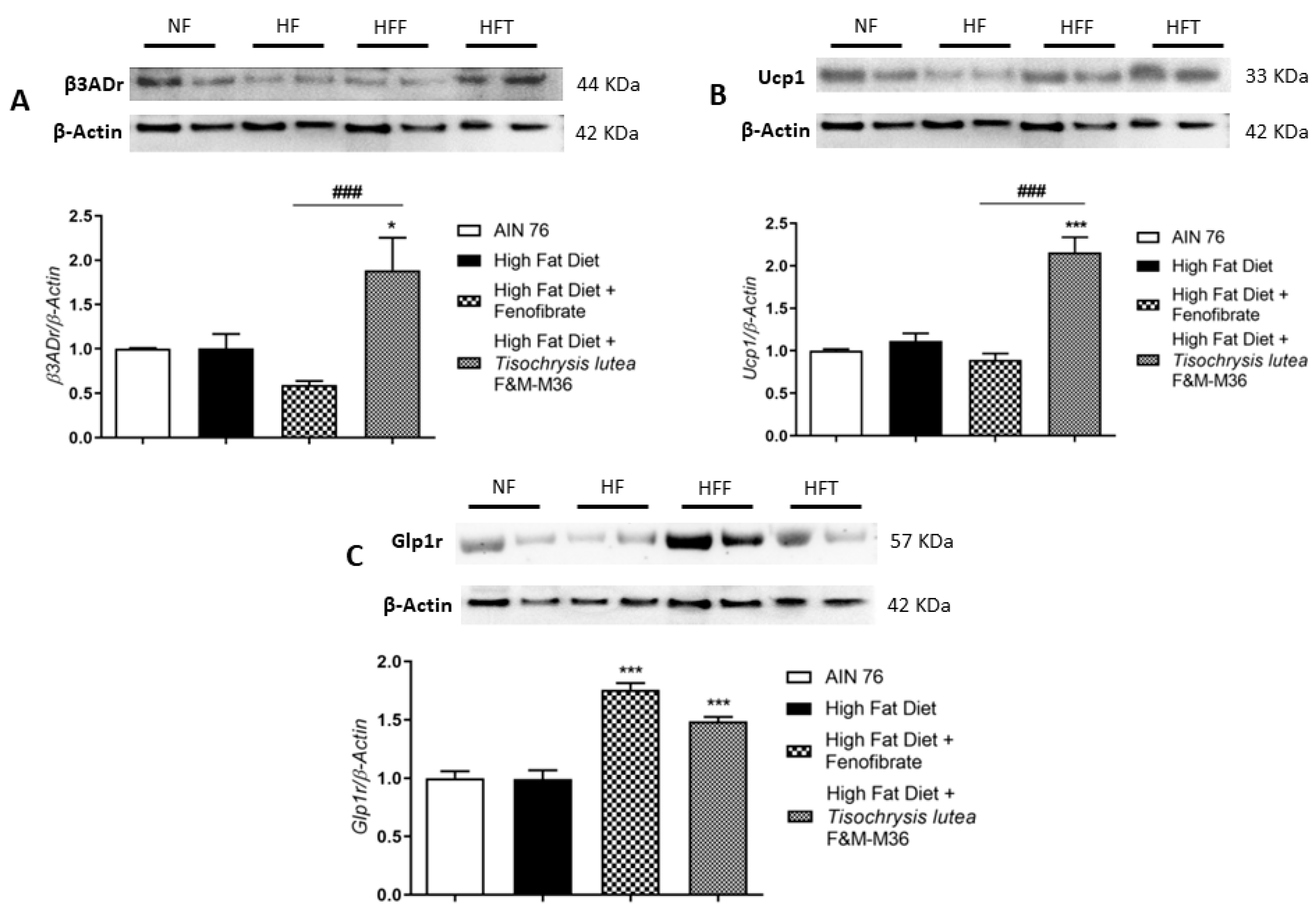 Marinedrugs 21 00303 g003
