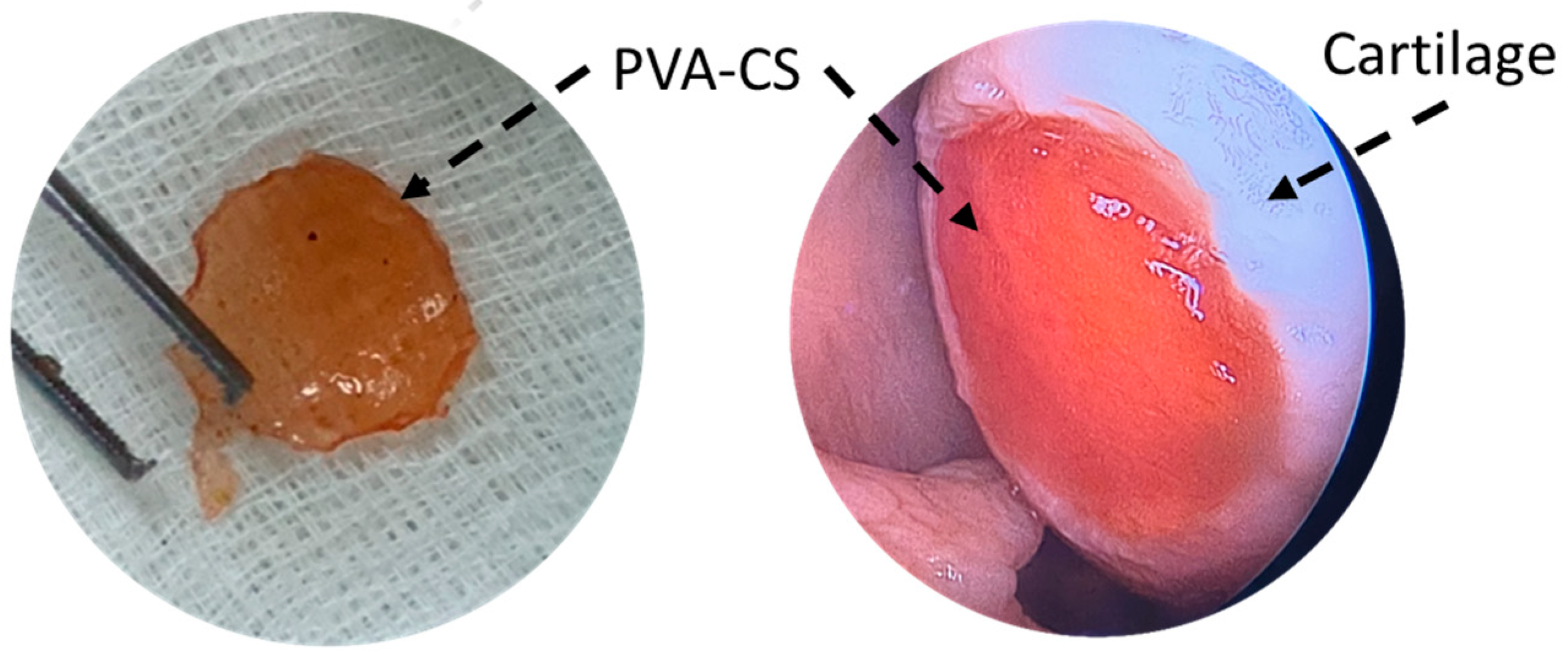 Marinedrugs 21 00304 g002