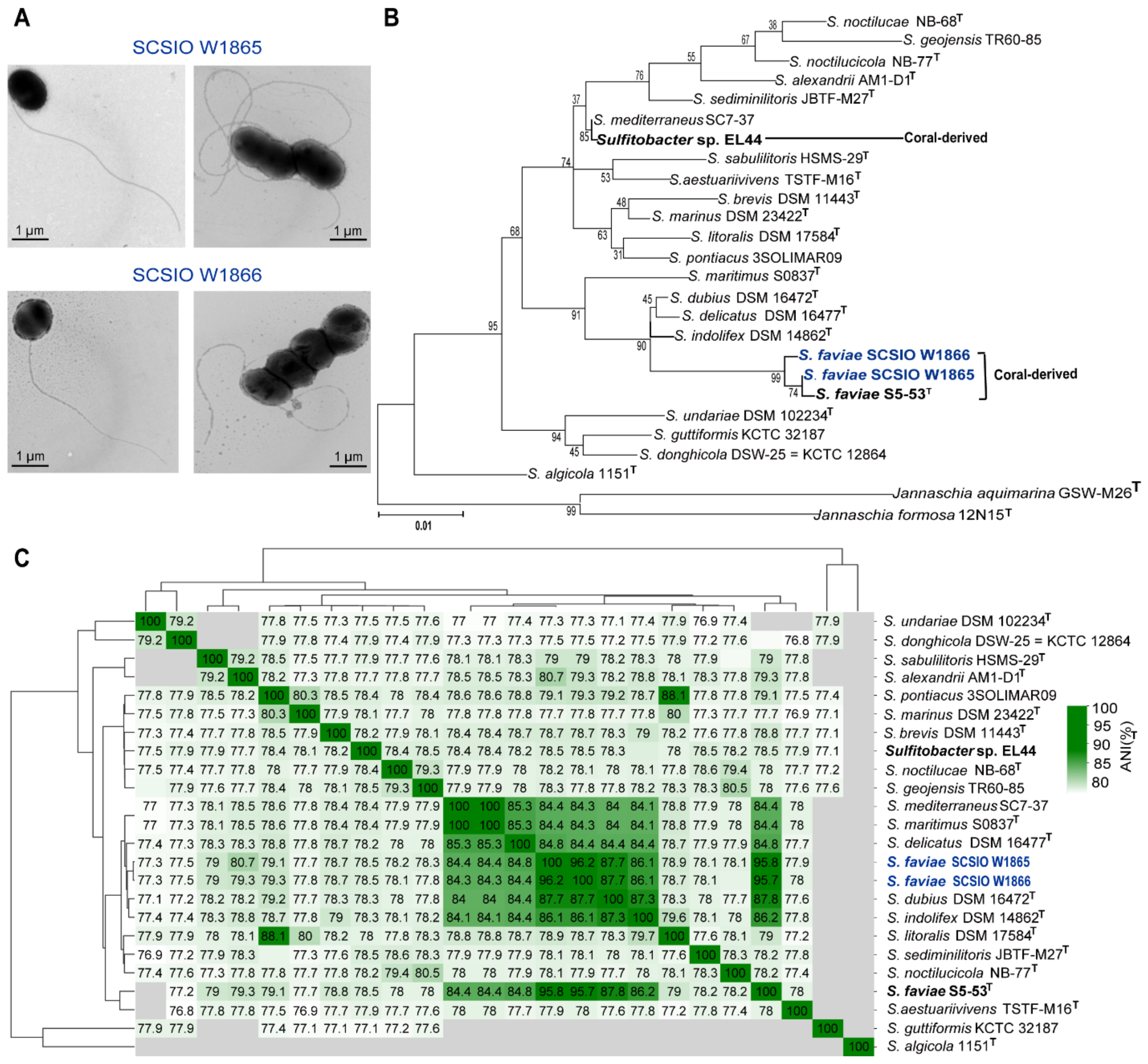 Marinedrugs 21 00309 g001
