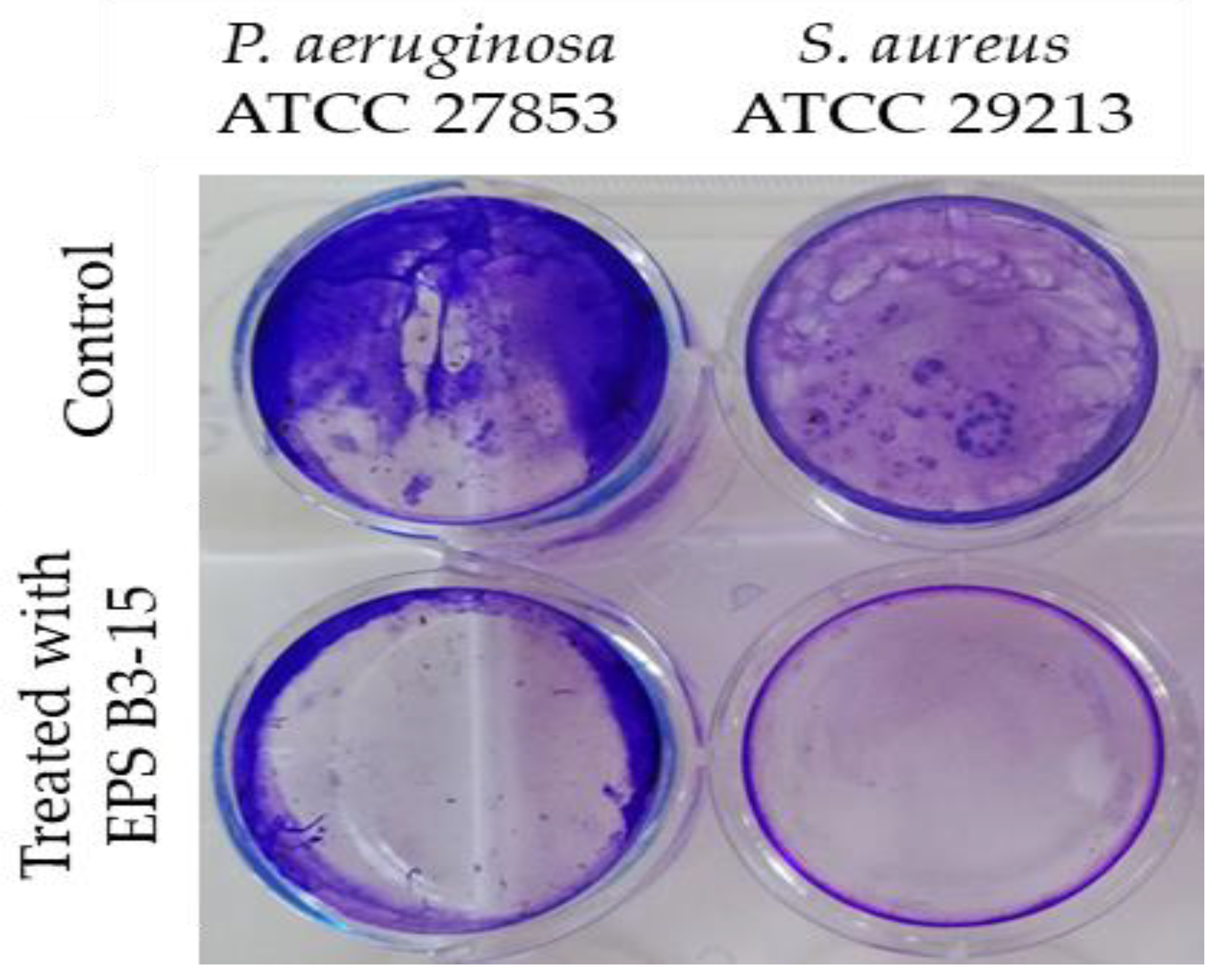 Marinedrugs 21 00313 g006