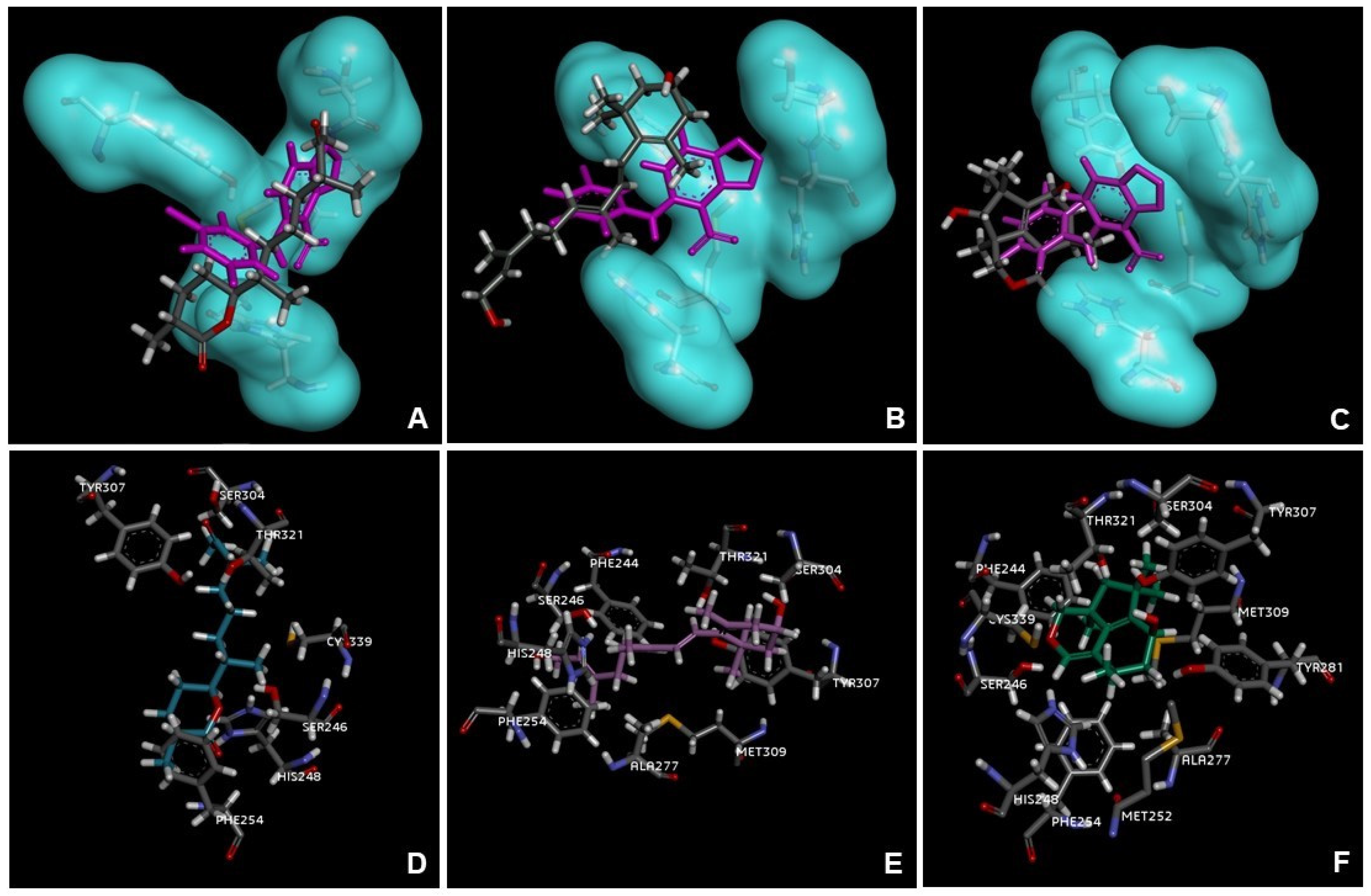 Marinedrugs 21 00318 g005