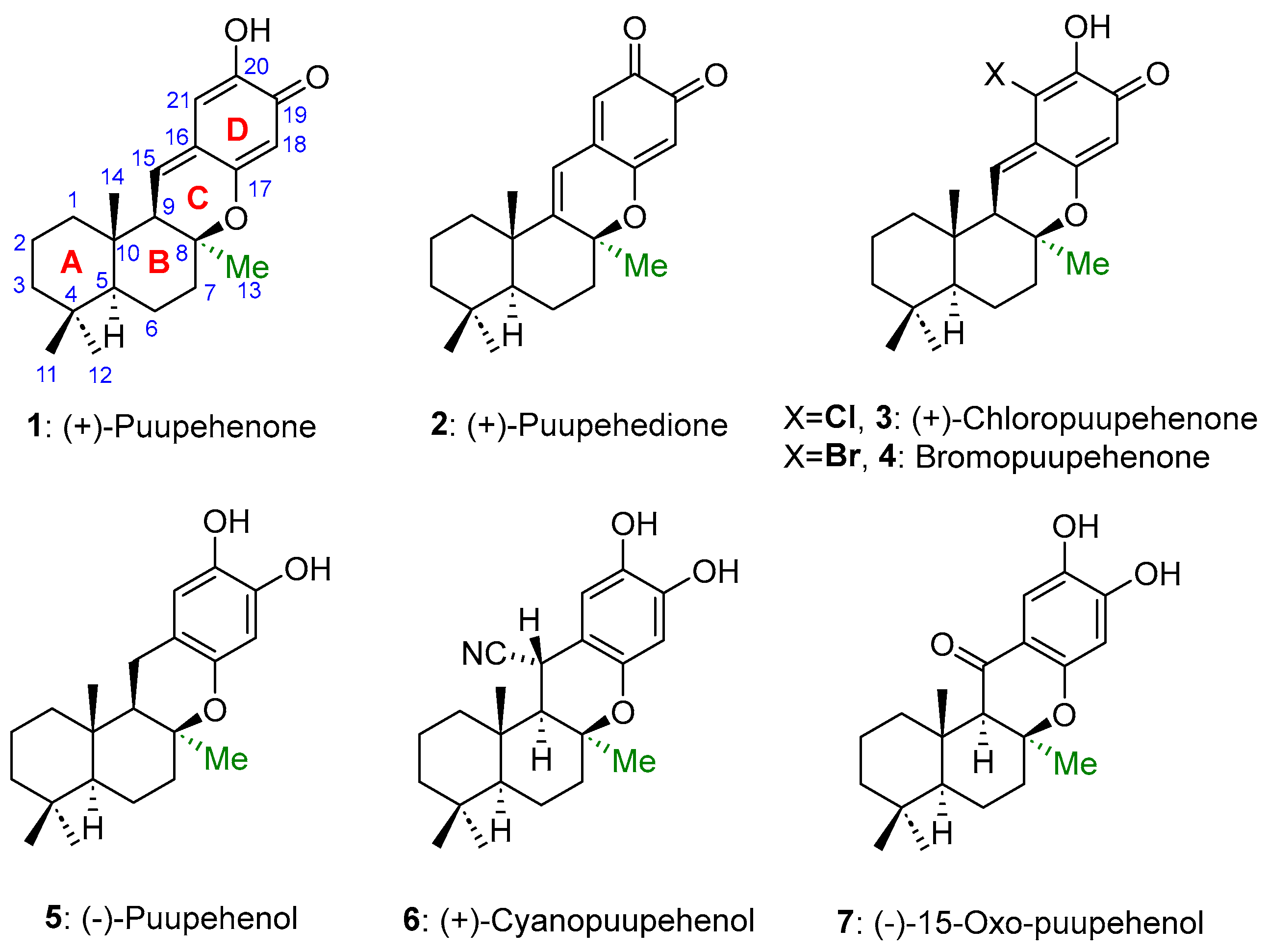 Marinedrugs 21 00322 g001