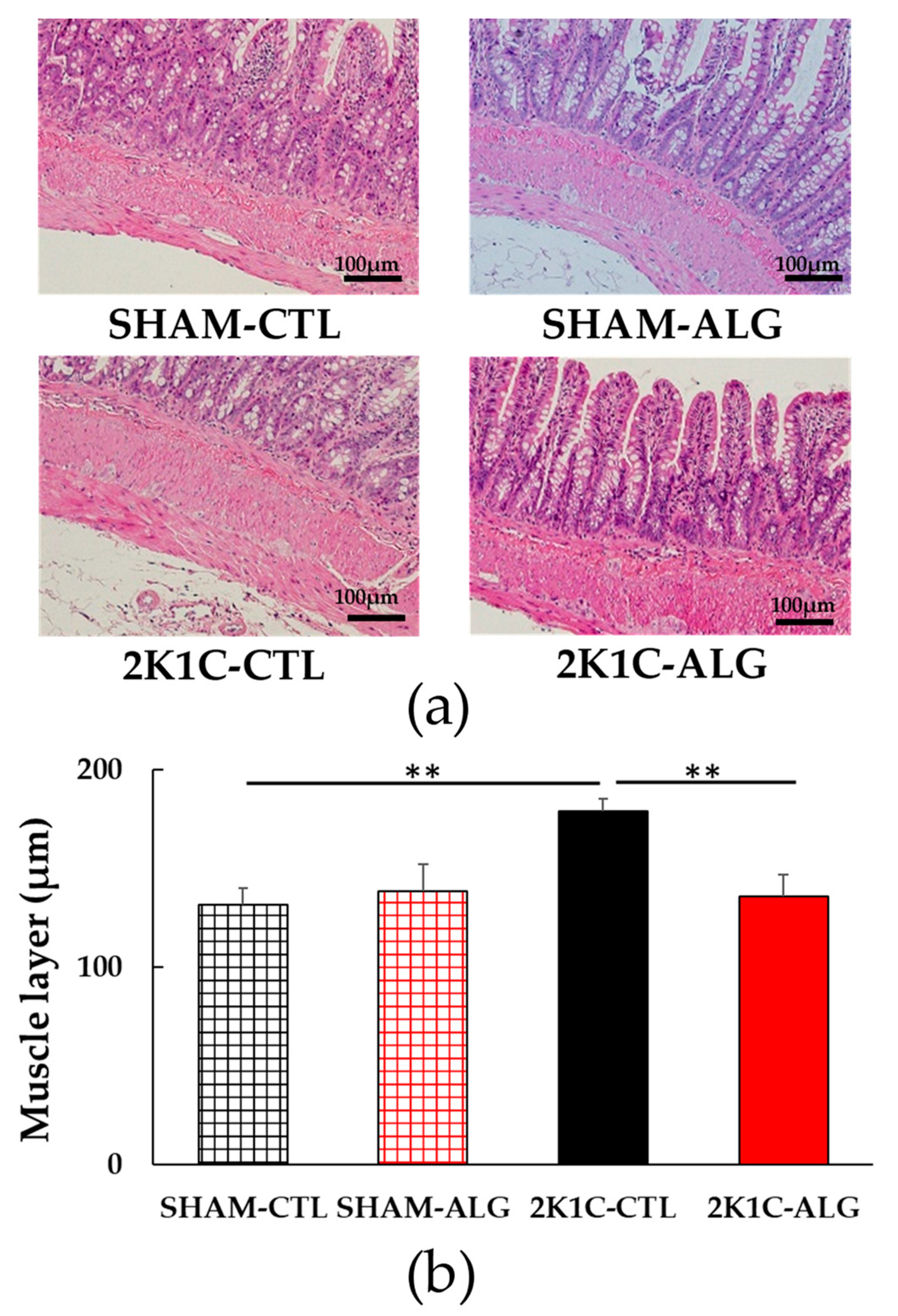 Marinedrugs 21 00324 g004