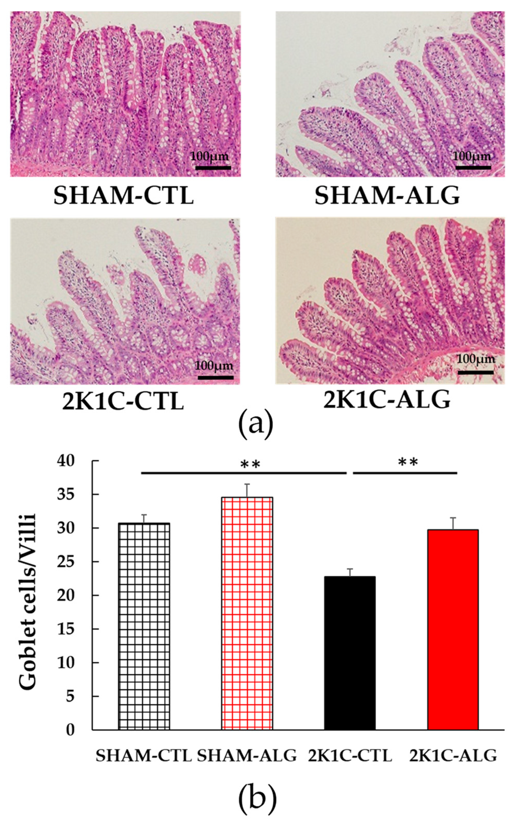 Marinedrugs 21 00324 g005