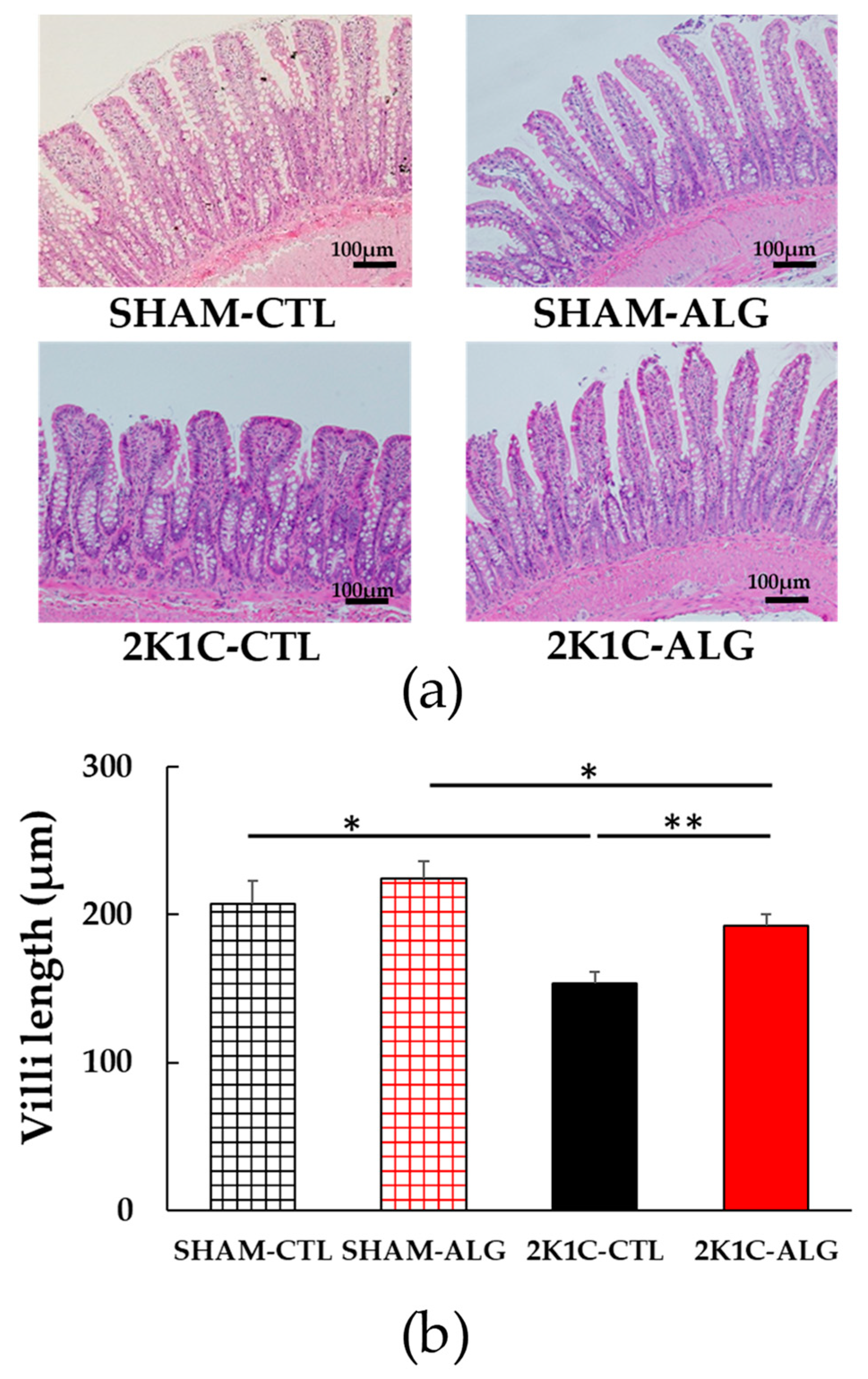 Marinedrugs 21 00324 g006