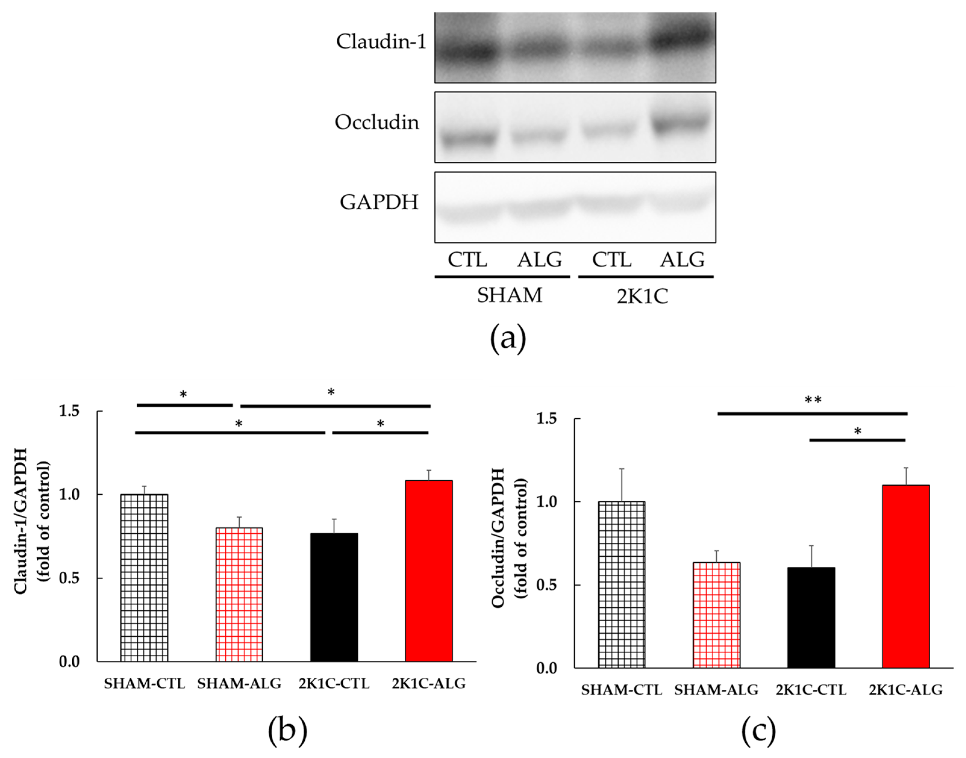 Marinedrugs 21 00324 g007