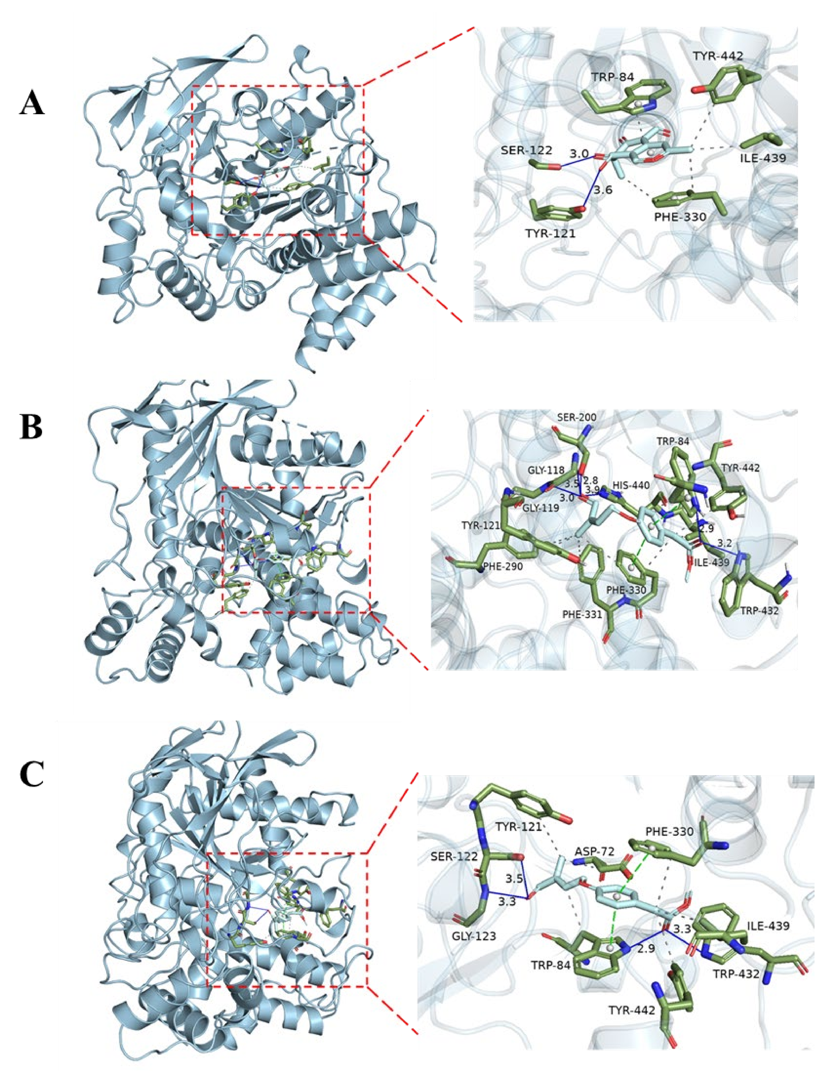 Marinedrugs 21 00327 g004